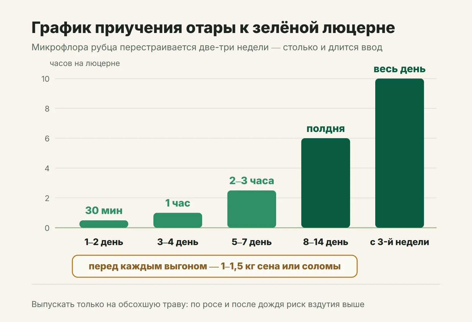 График приучения отары к зелёной люцерне по дням