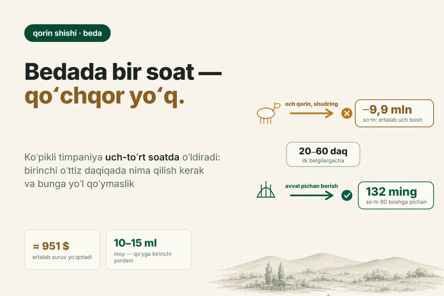 Qoʻyda timpaniya: qoʻchqor bedada nega shishadi va birinchi 30 daqiqada nima qilish kerak