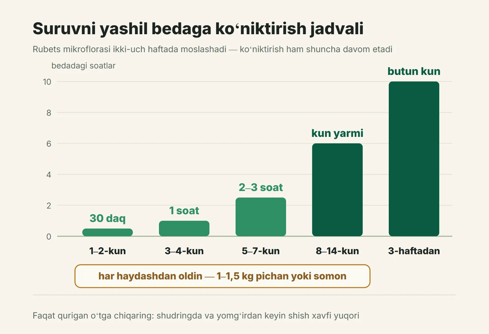 Suruvni kunlar boʻyicha yashil bedaga koʻniktirish jadvali