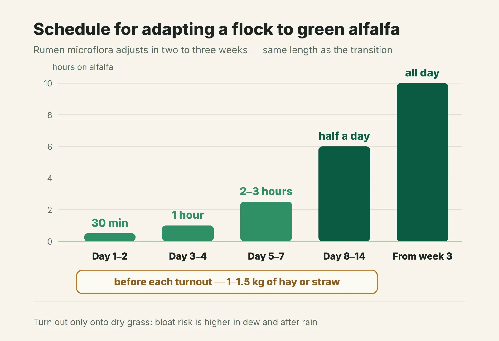 Day-by-day schedule for adapting a flock to green alfalfa