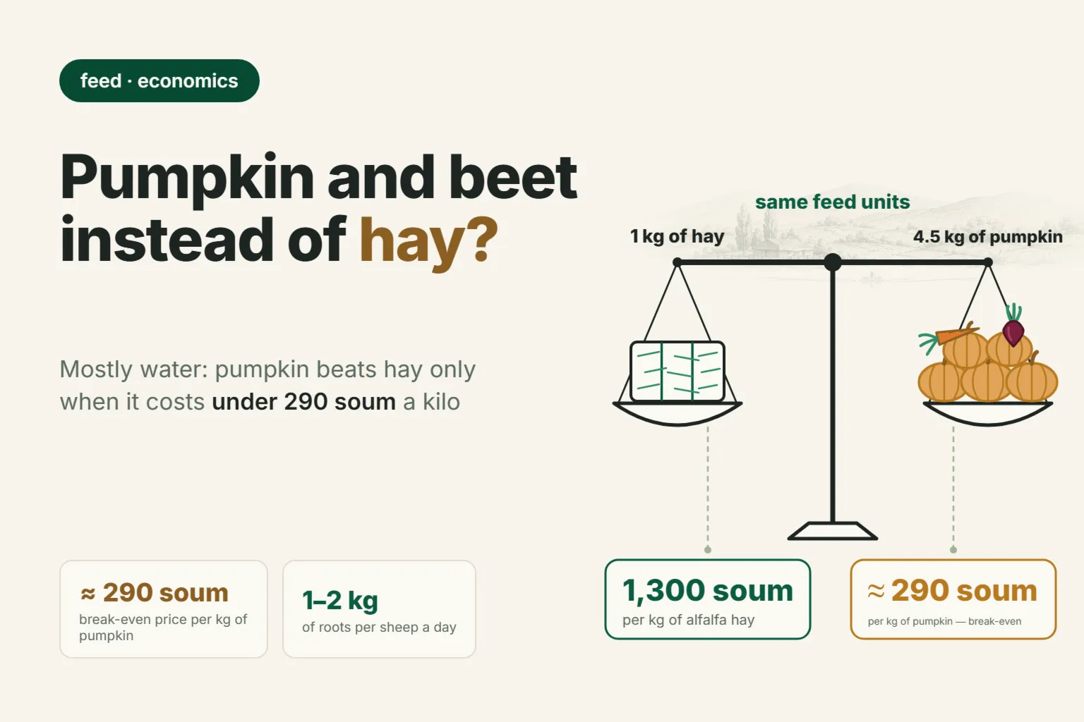 Pumpkin, fodder beet and carrots for sheep: how much to feed a day and at what price they beat hay