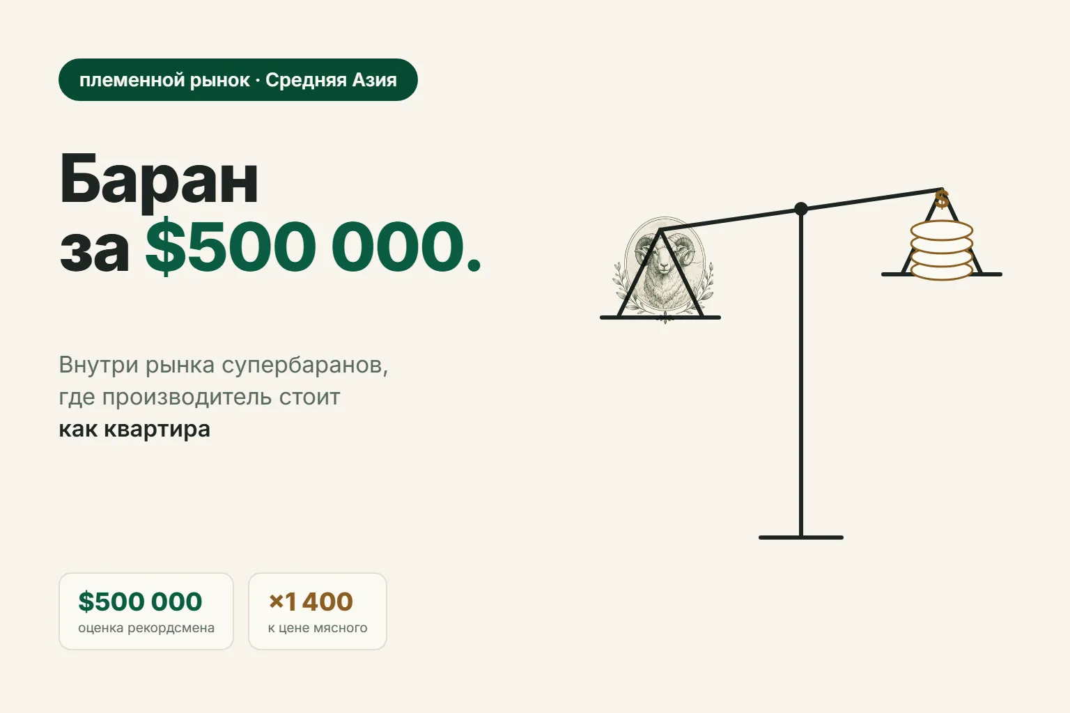 Самые дорогие бараны Средней Азии: от гиссара до арашана