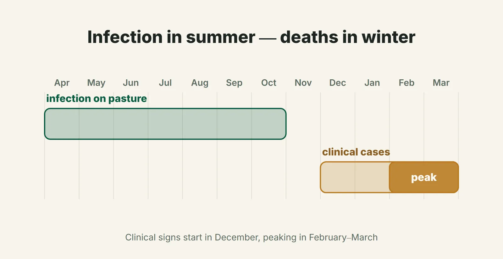Infection in summer — deaths in winter