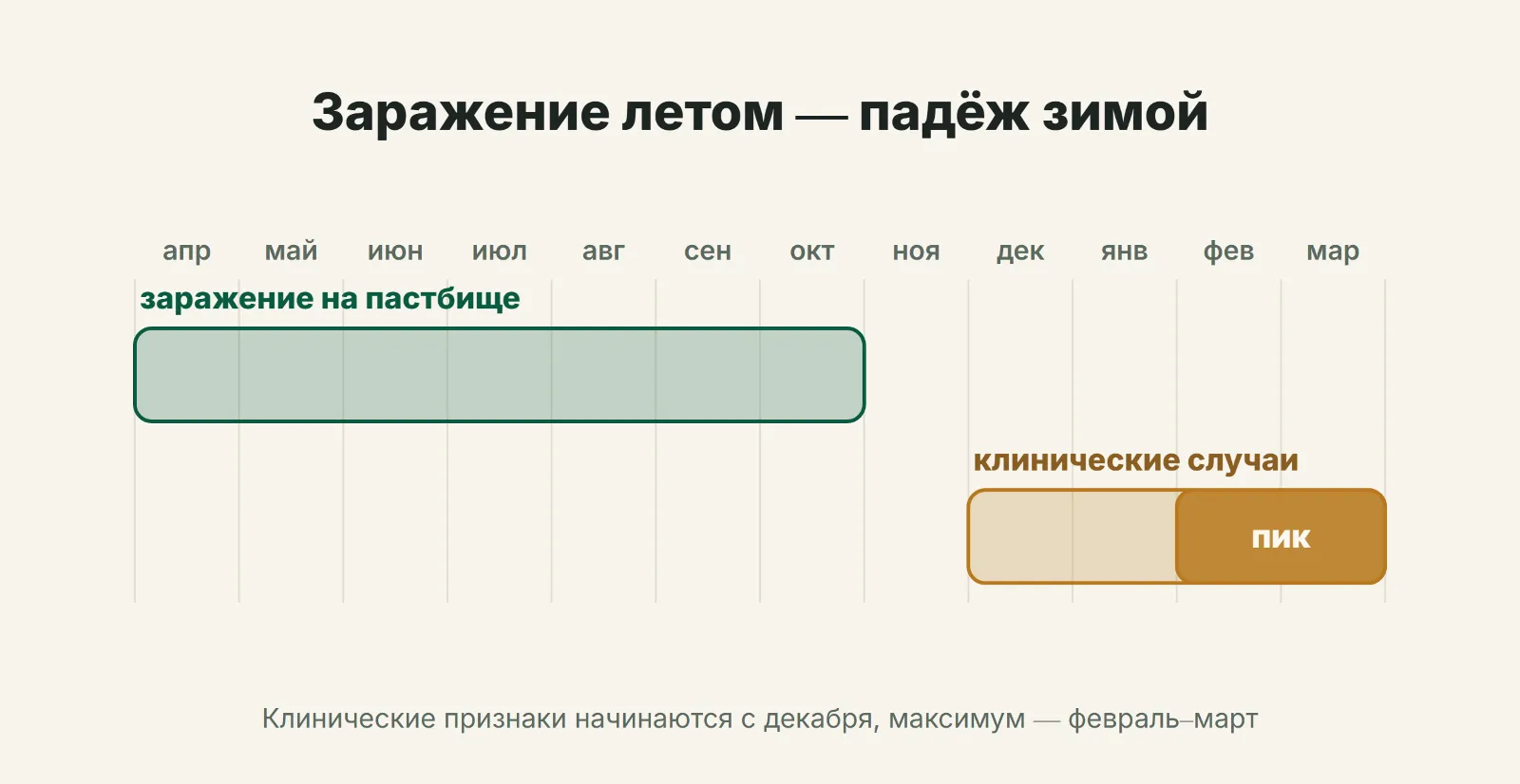 Заражение летом — падёж зимой