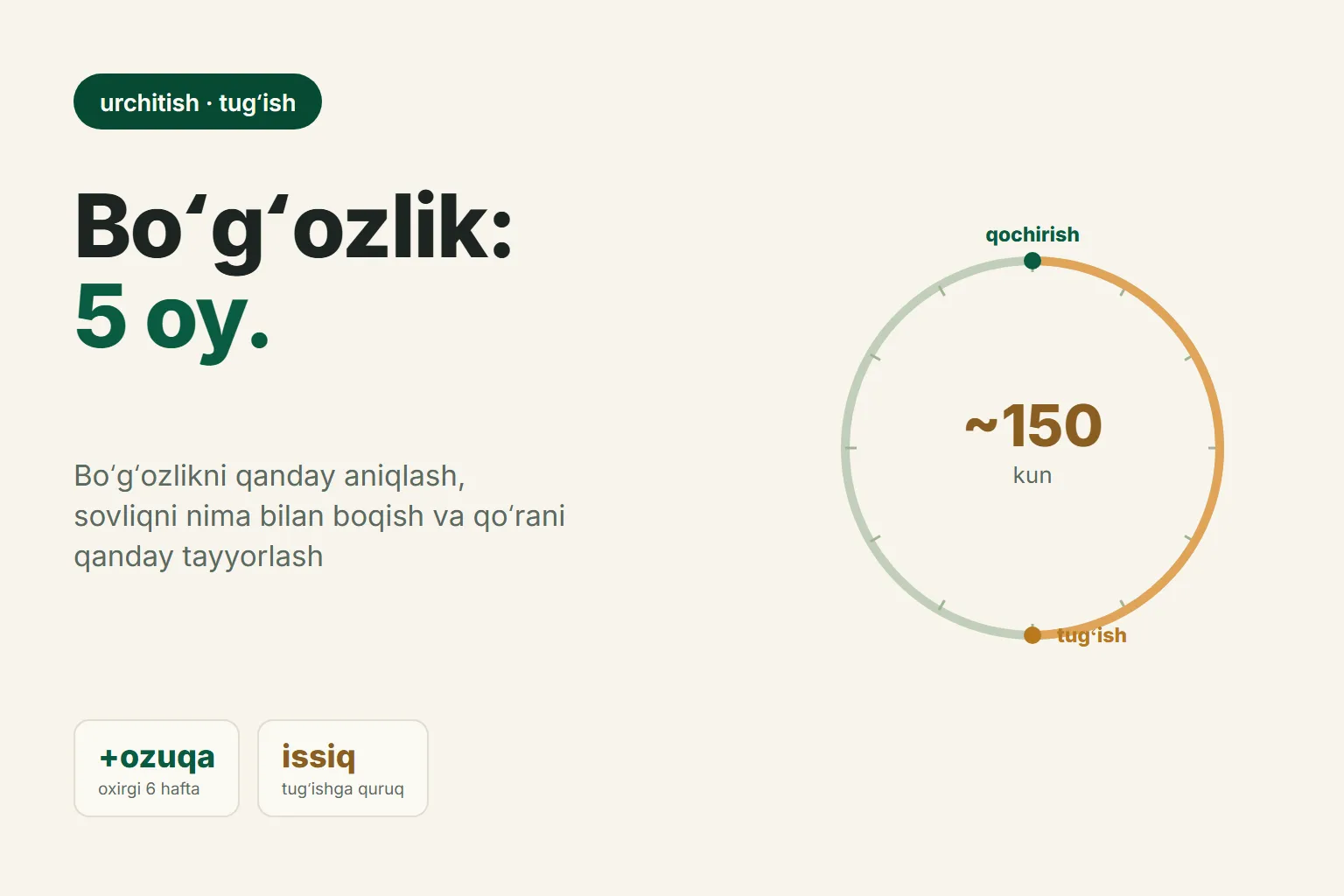 Qoʻy boʻgʻozligi: muddati, belgilari va qoʻzilashga tayyorgarlik