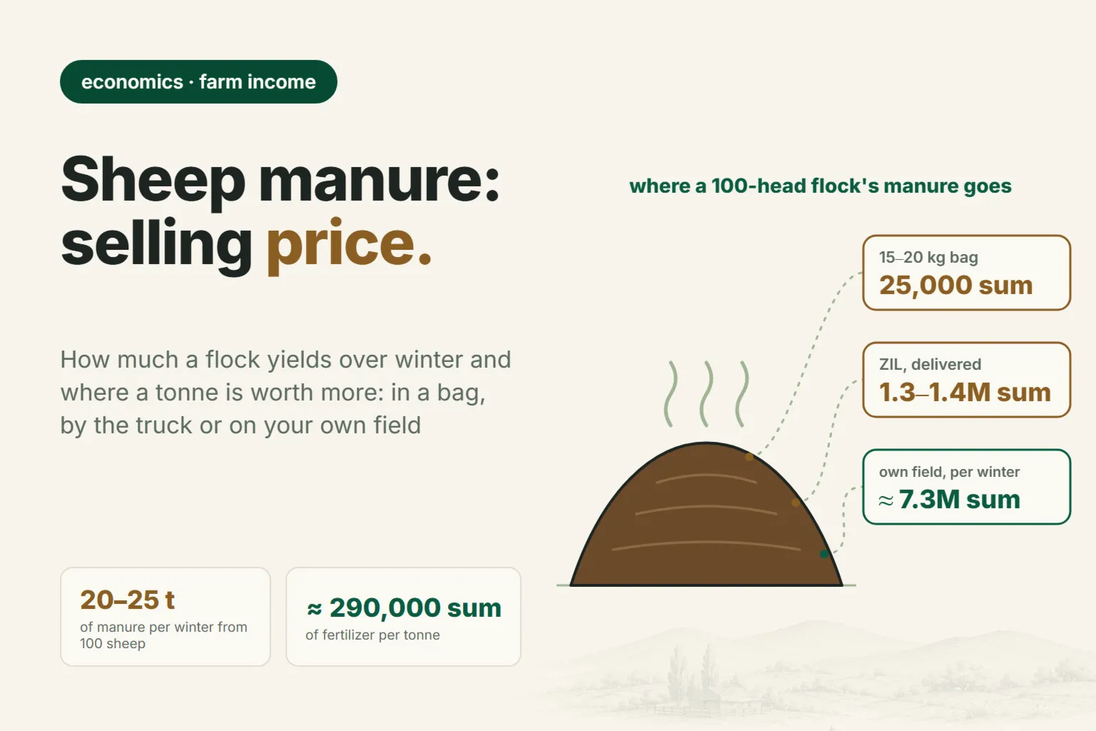 Sheep manure: how much a flock produces in winter and what it sells for in 2026