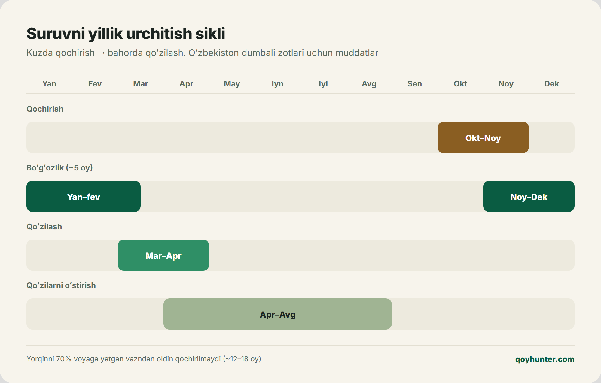 Yillik urchitish sikli: qochirish, boʻgʻozlik, qoʻzilash