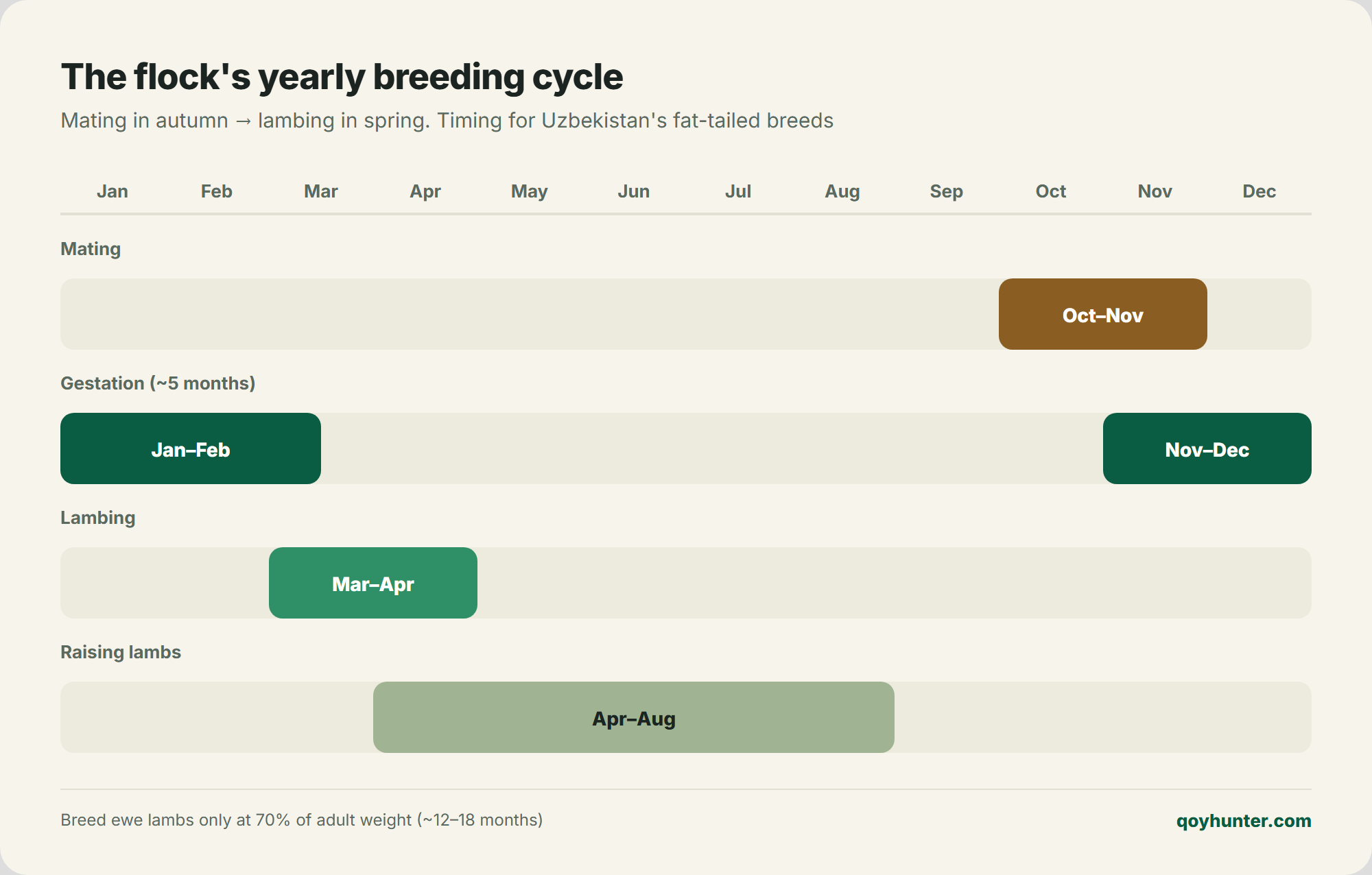 Annual reproduction cycle: mating, gestation, lambing