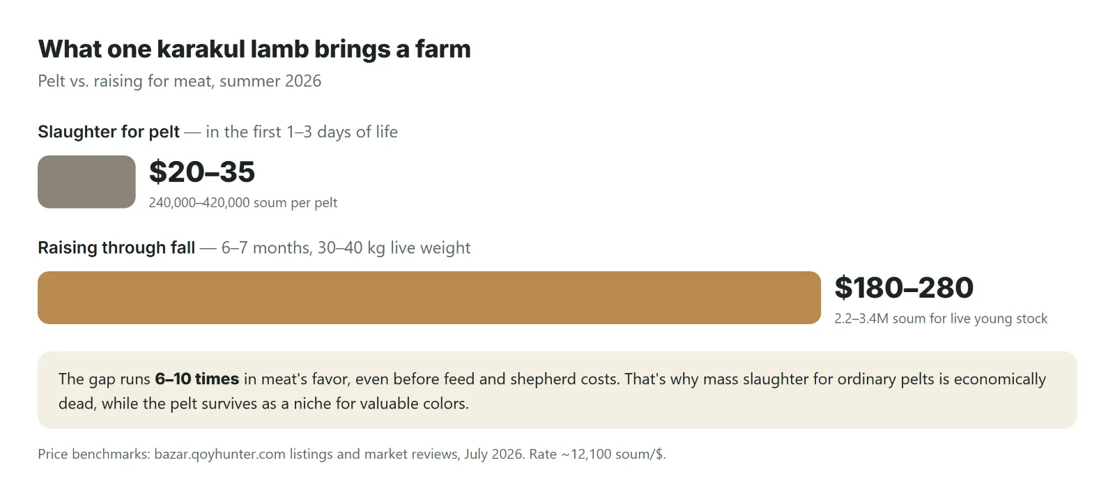 Pelt vs. lamb: what one birth actually brings in