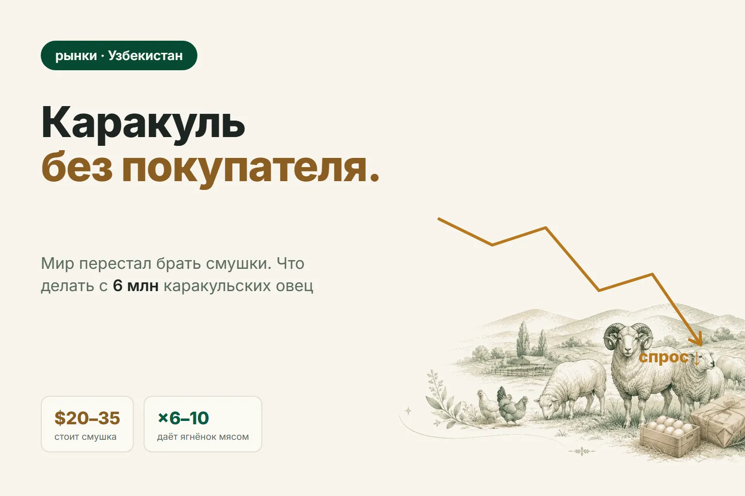 Каракуль: мир перестал покупать смушки. На чём теперь зарабатывать хозяйству