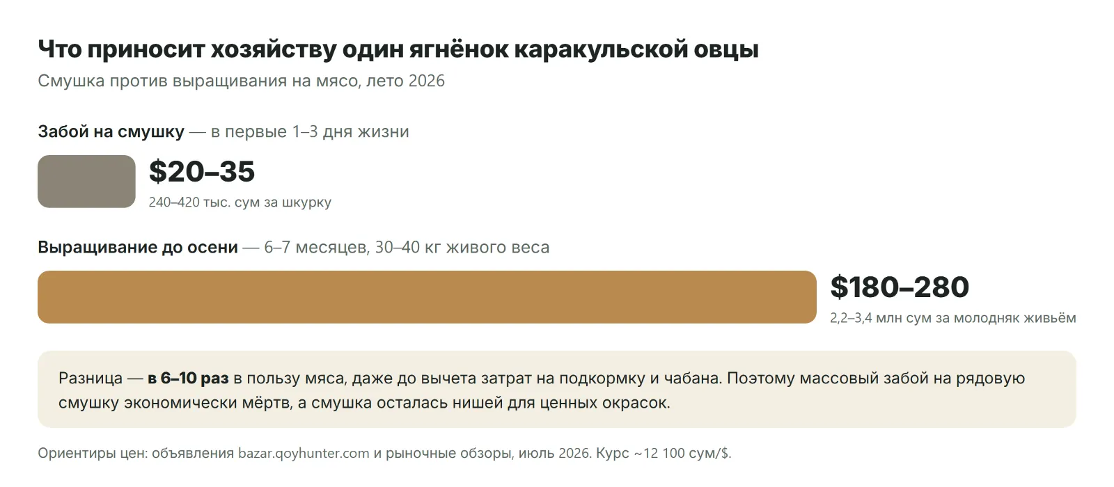 Смушка против ягнёнка: что приносит один приплод