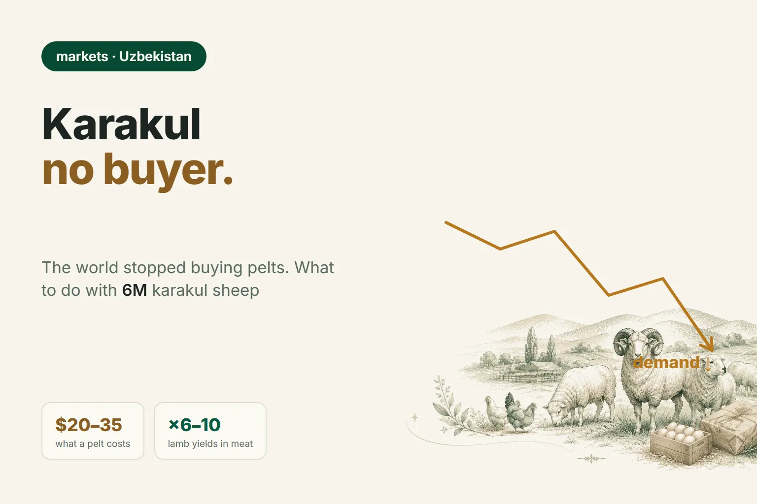 Karakul: The World Stopped Buying Pelts. What Should a Farm Earn Now