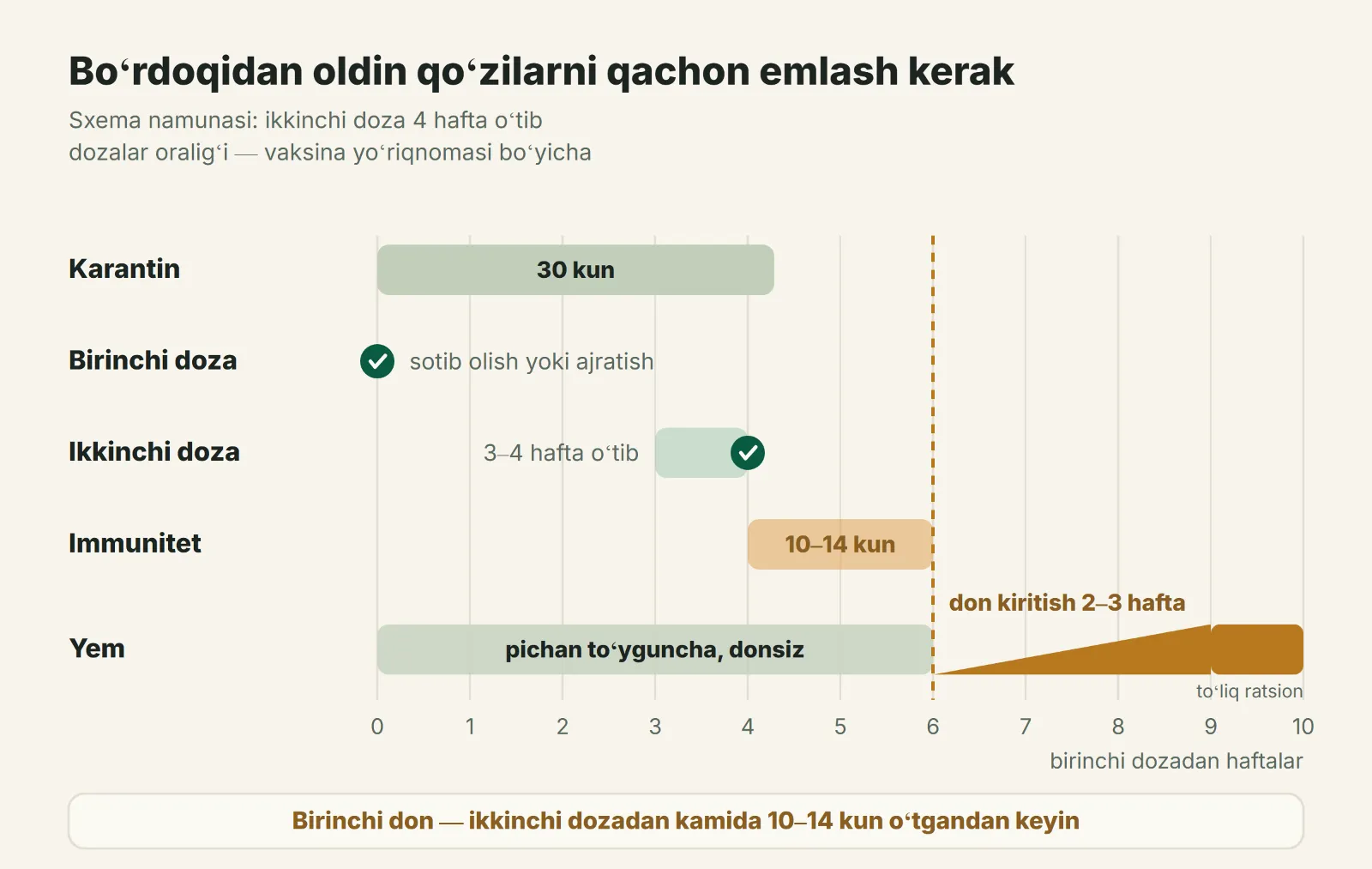 Boʻrdoqidan oldin qoʻzilarni enterotoksemiyaga qarshi emlash sxemasi: birinchi doza, 3–4 haftadan keyin ikkinchisi, immunitet uchun 10–14 kun va 2–3 hafta davomida donga oʻtkazish