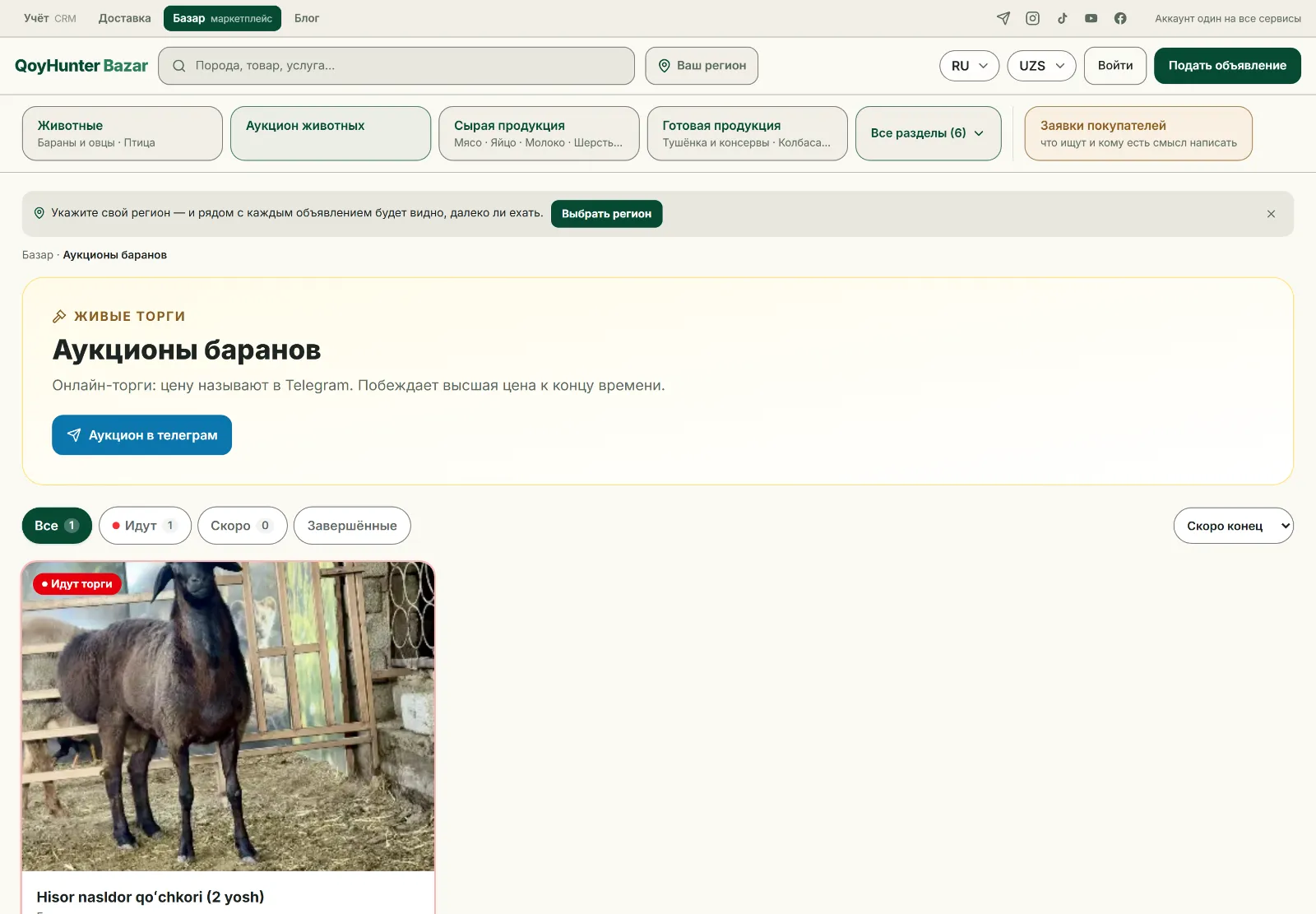 Страница аукционов баранов на базаре QoyHunter: идущие торги и стартовая цена лота