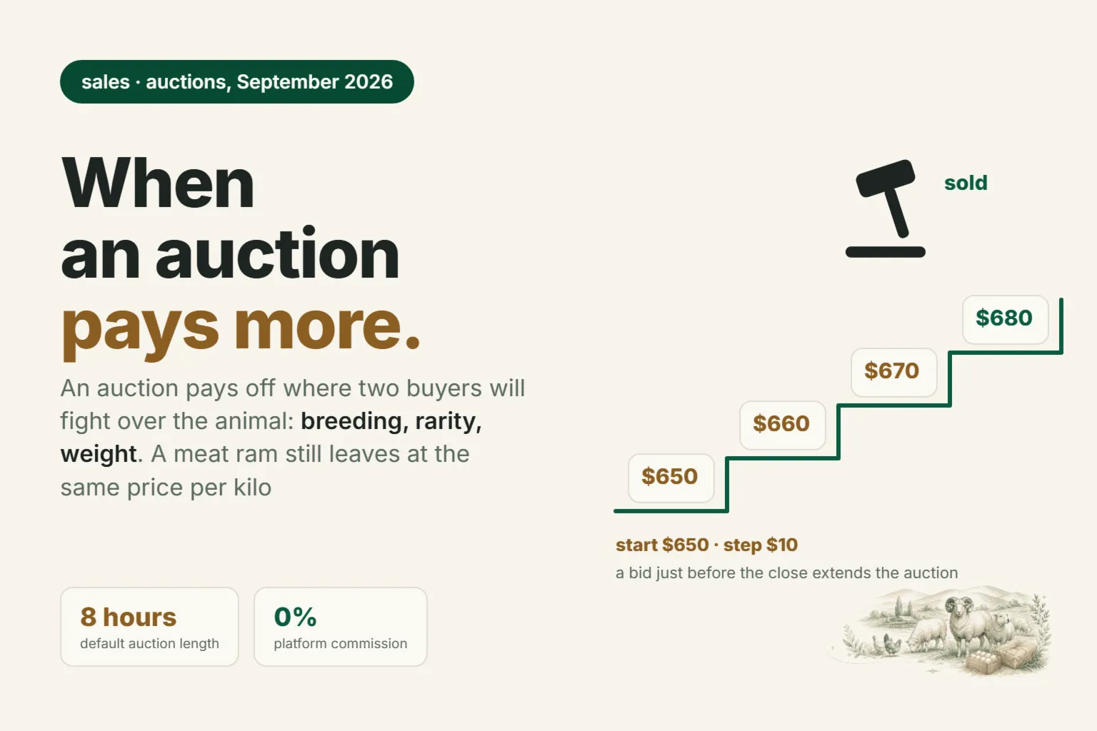 Online ram auctions in Uzbekistan: when bidding beats the weekend market