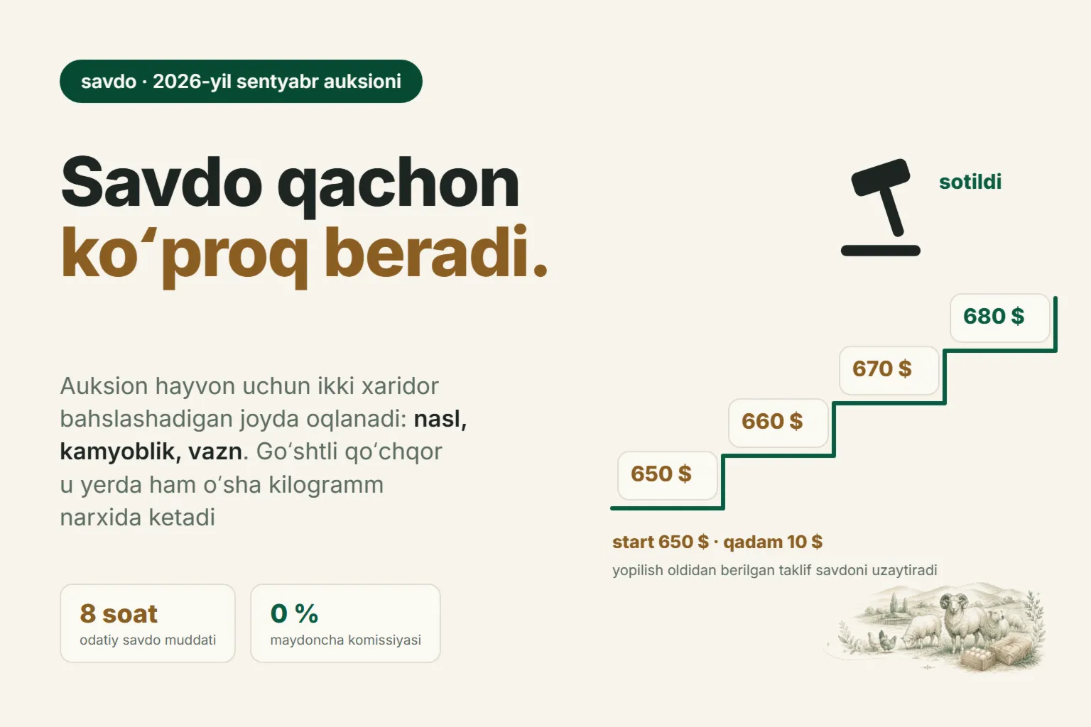 Qoʻchqorlar onlayn auksioni Oʻzbekistonda: savdo dam olish kuni bozoridan qachon koʻp beradi