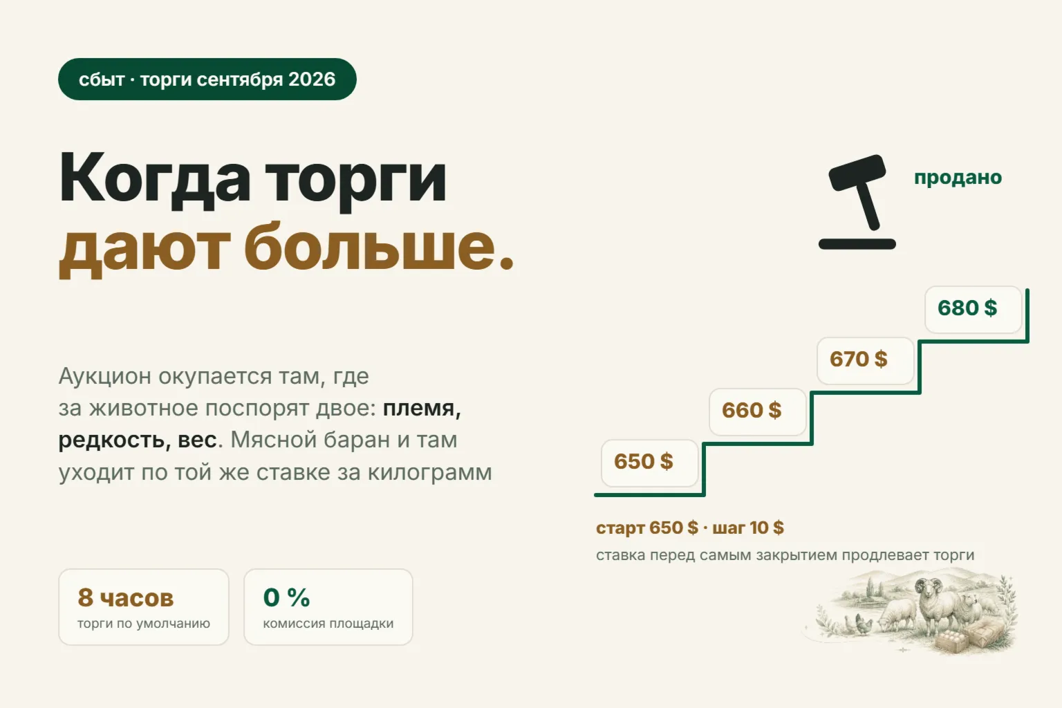 Аукцион баранов онлайн в Узбекистане: когда торги дают больше, чем базар выходного дня
