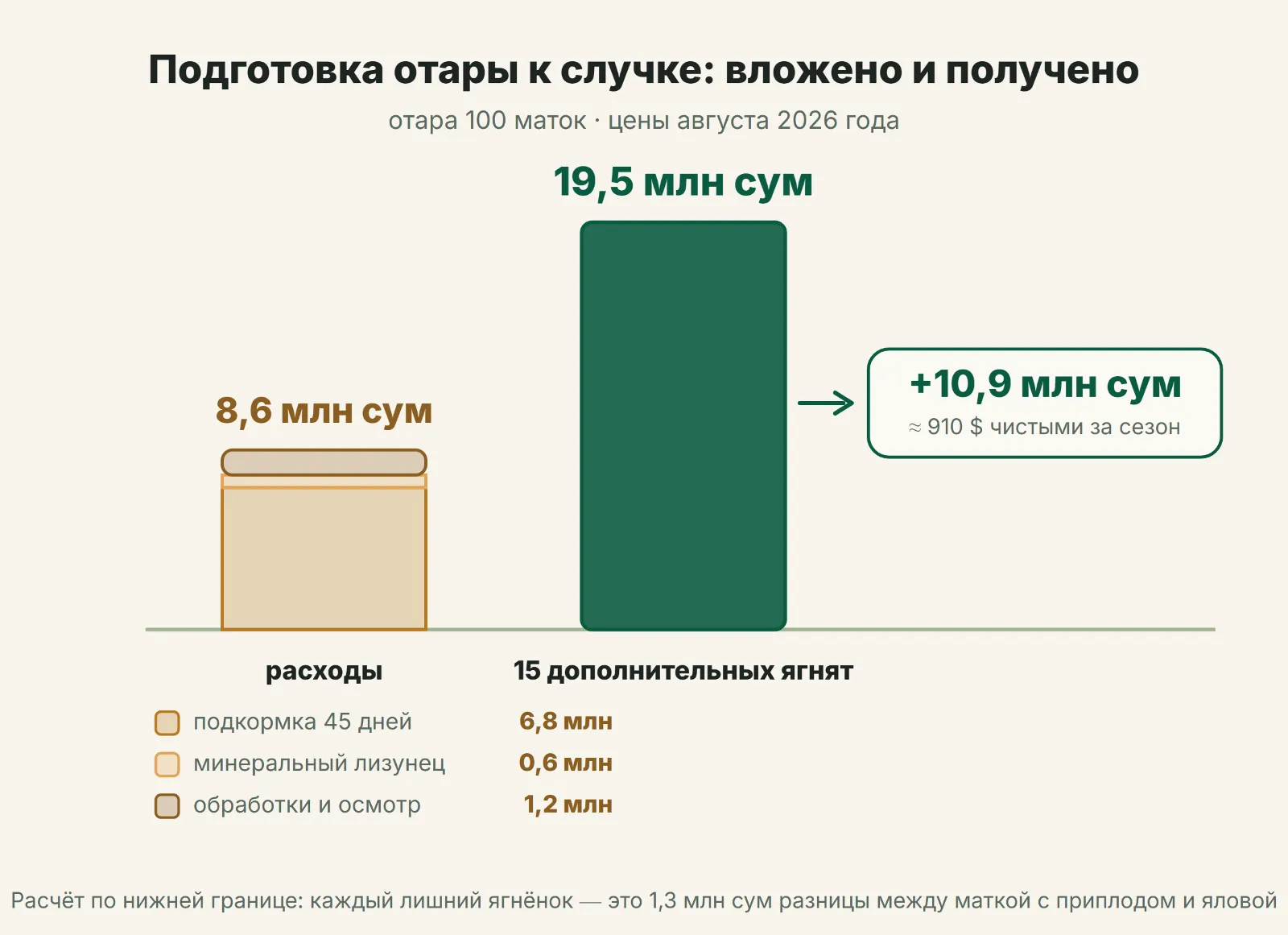 Подготовка отары к случке: вложено и получено