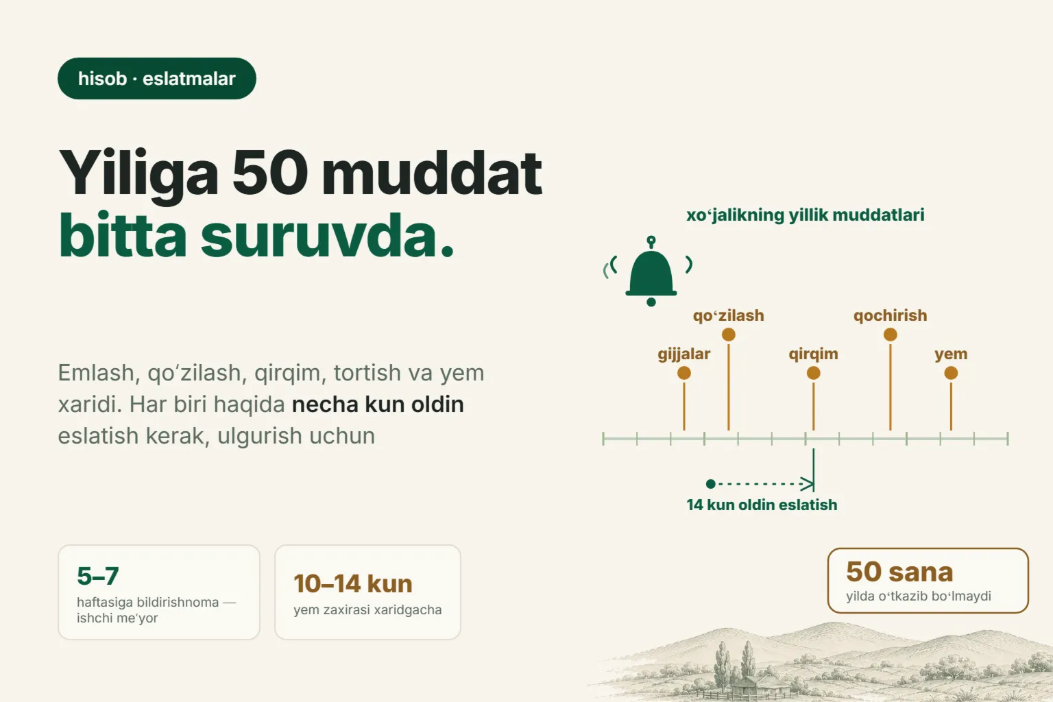 Qoʻylarga emlash va ishlovlarni qanday oʻtkazib yubormaslik: 50 sovliqli suruvda yiliga 50 muddat