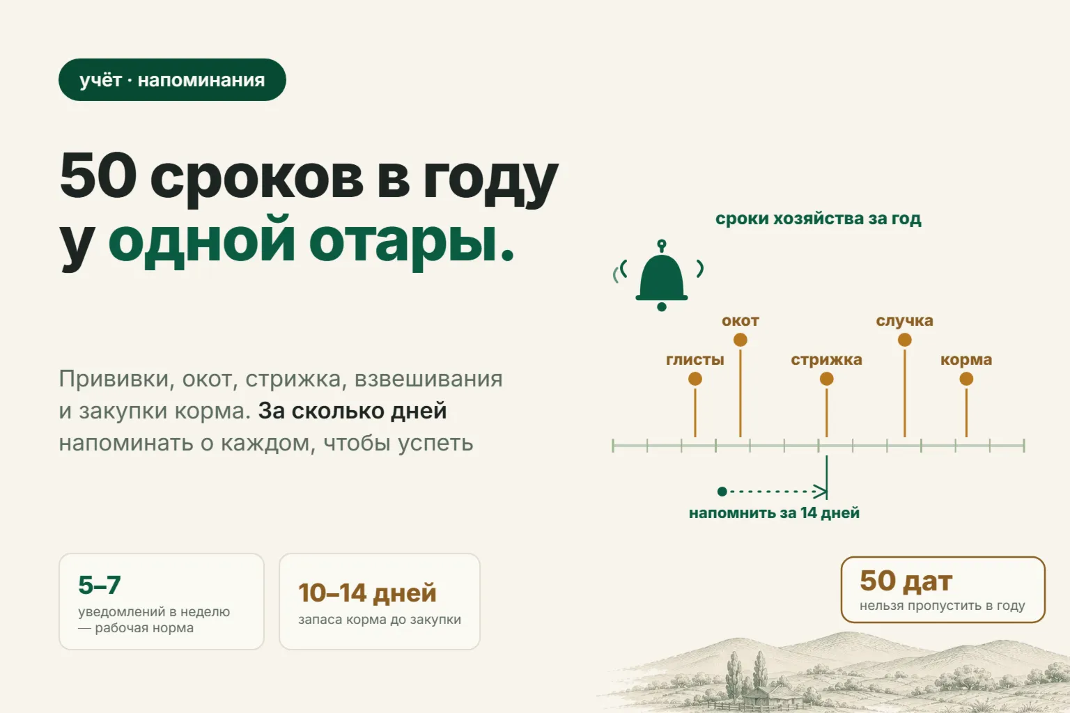 Как не пропустить прививки и обработки овец: 50 сроков в году у отары на 50 маток