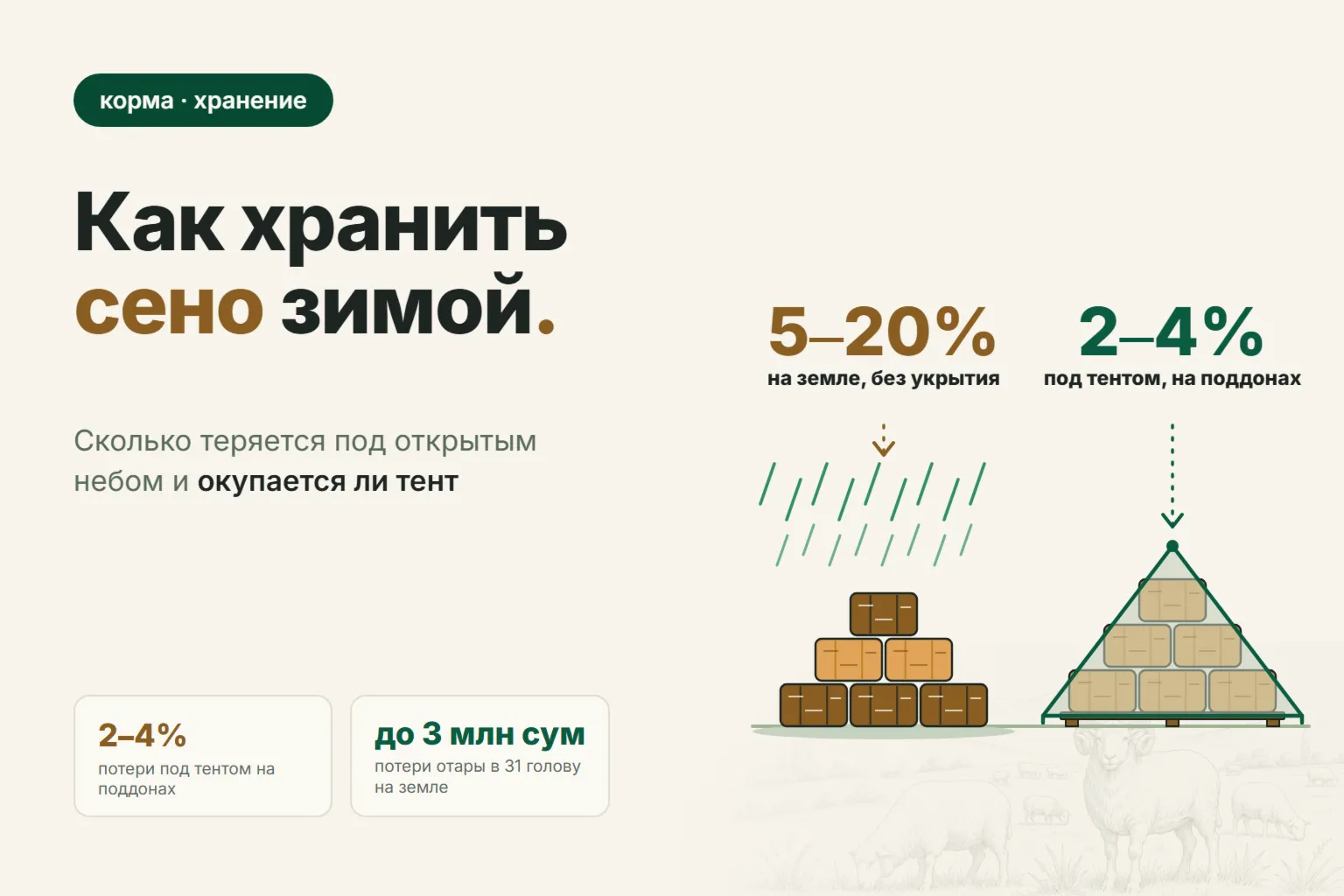 Как хранить сено зимой: сколько теряется под открытым небом и окупается ли тент