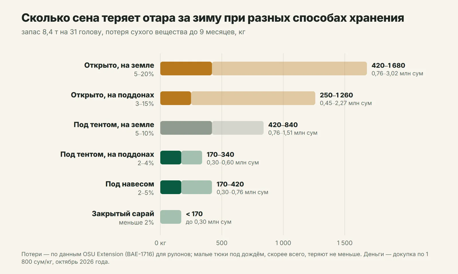 Потери сена за зиму при разных способах хранения на отару в 31 голову