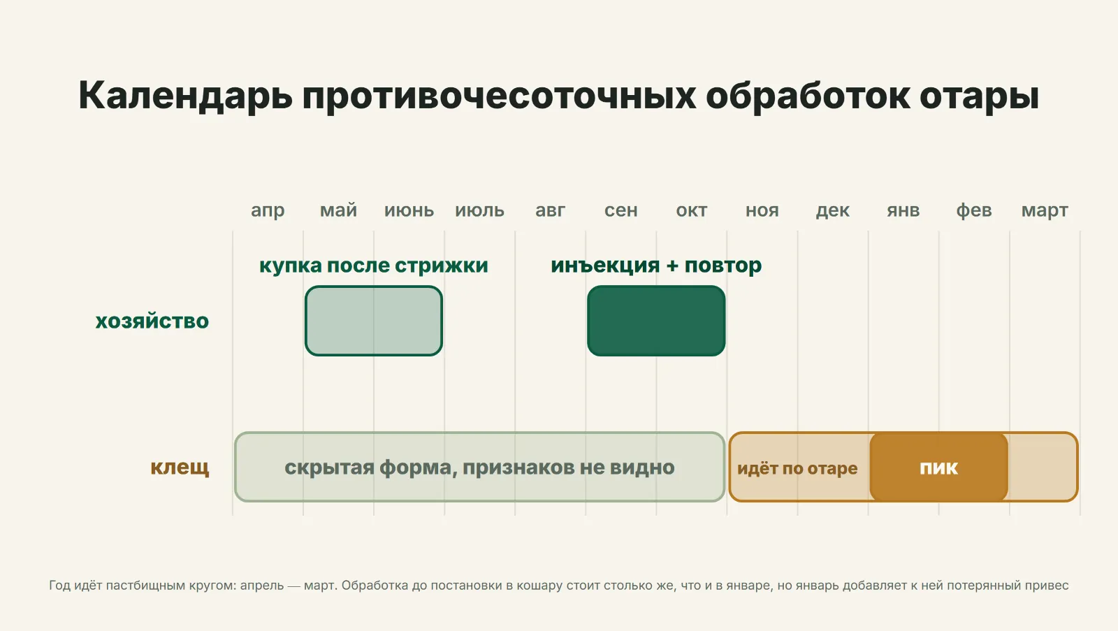 Календарь противочесоточных обработок отары