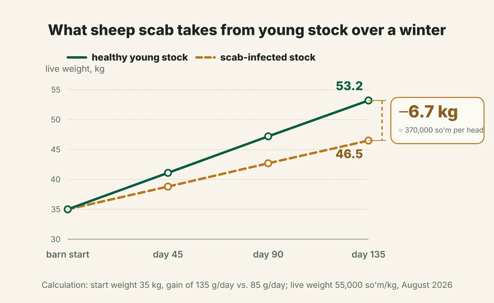 What sheep scab takes from young stock over a winter