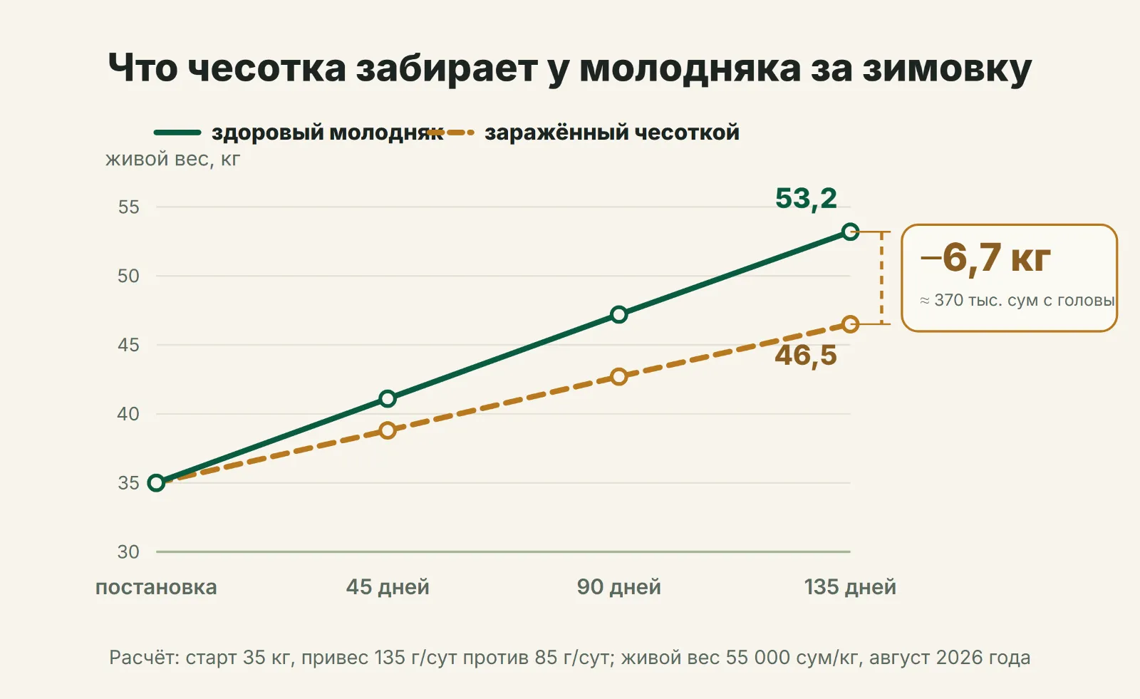 Что чесотка забирает у молодняка за зимовку