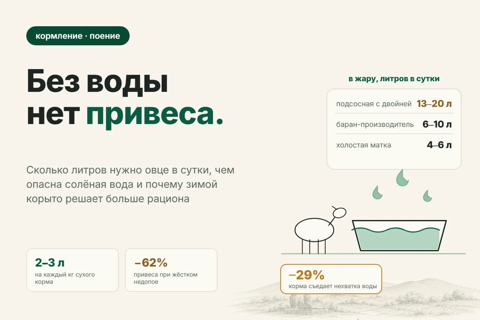 Сколько воды нужно овце в сутки: нормы по группам, зимнее поение и цена недопоя