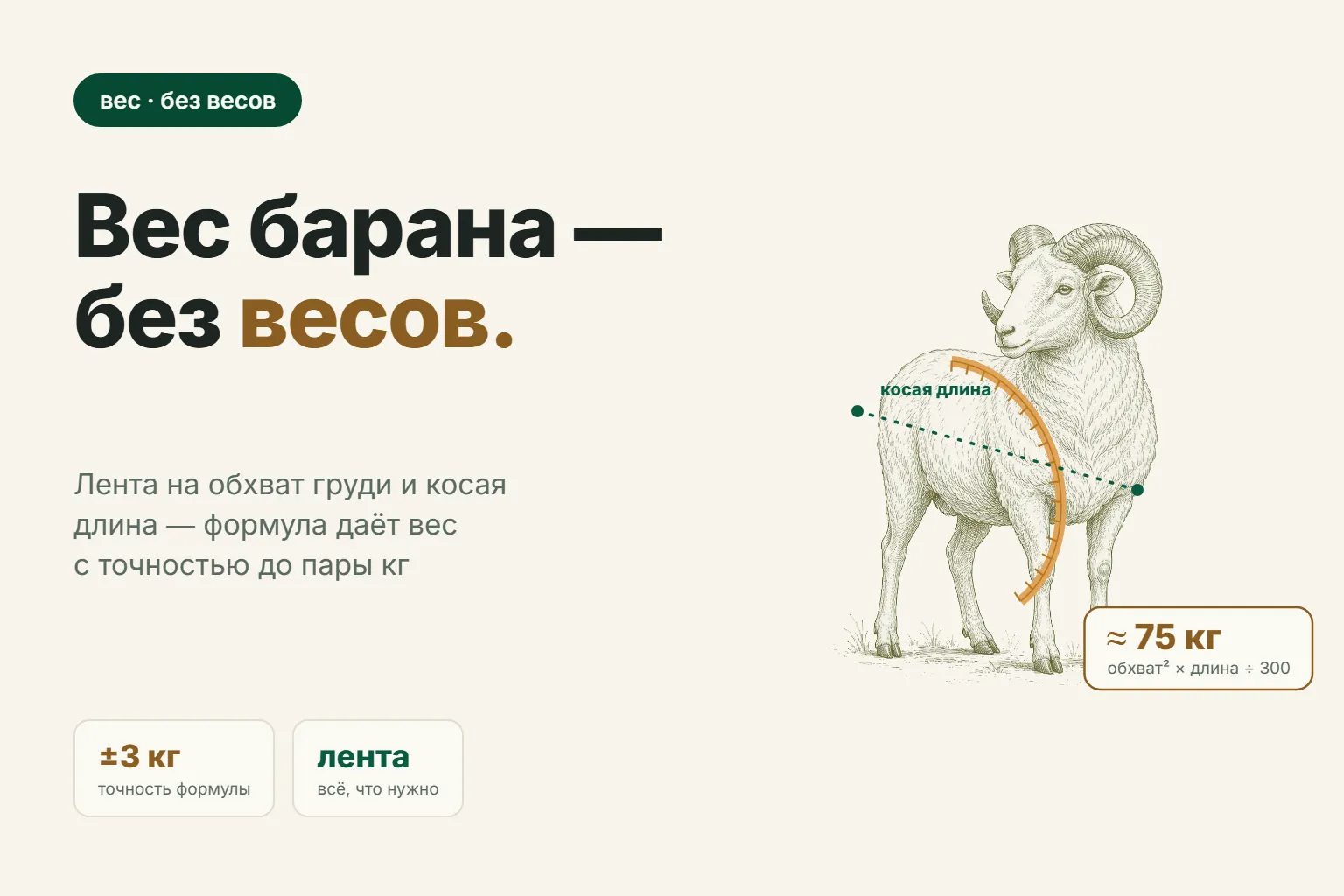 Как определить вес барана без весов: лента, формула и таблица