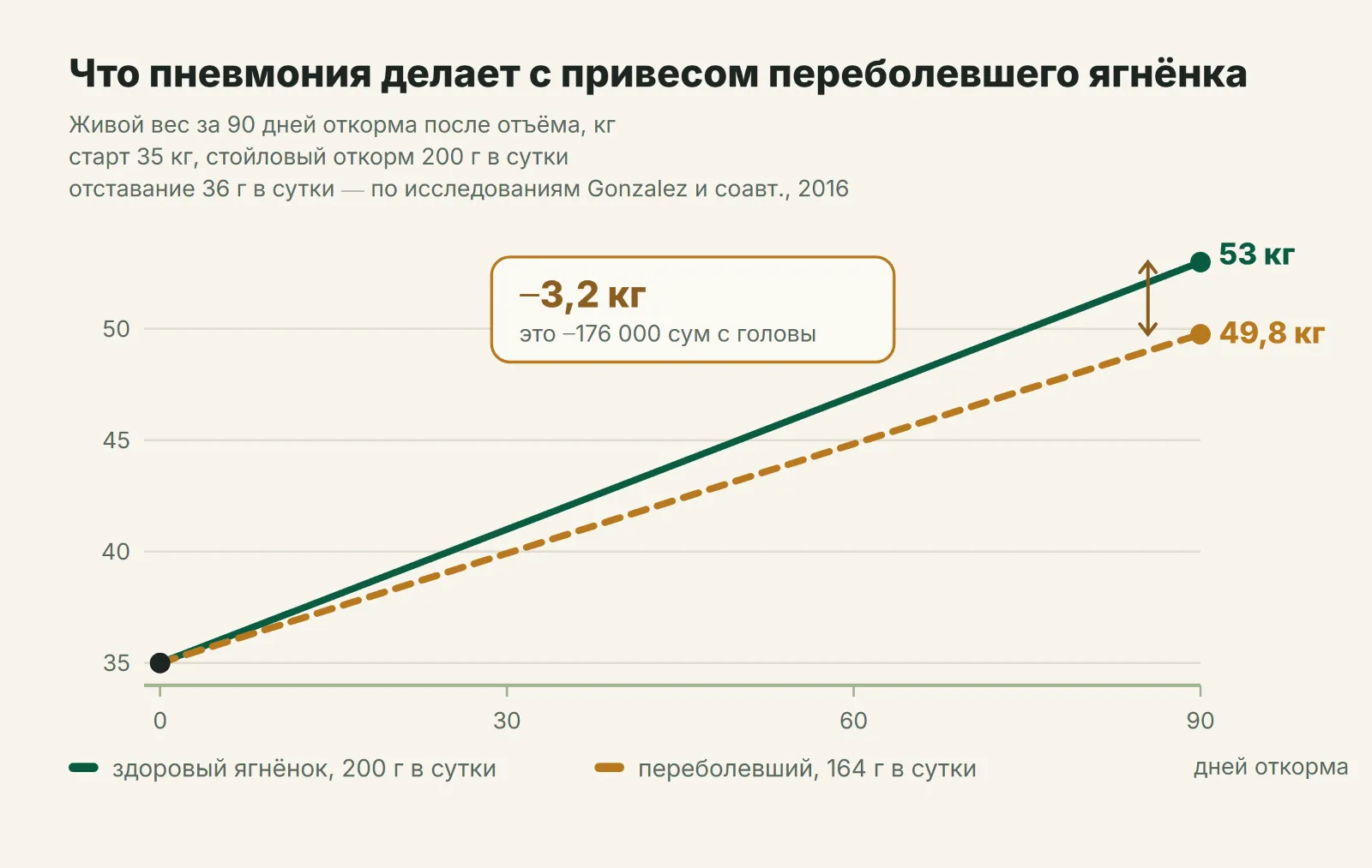 Живой вес здорового и переболевшего ягнёнка за 90 дней откорма