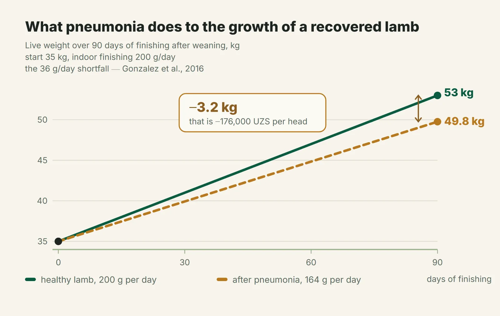 Live weight of a healthy and a recovered lamb over 90 days of finishing