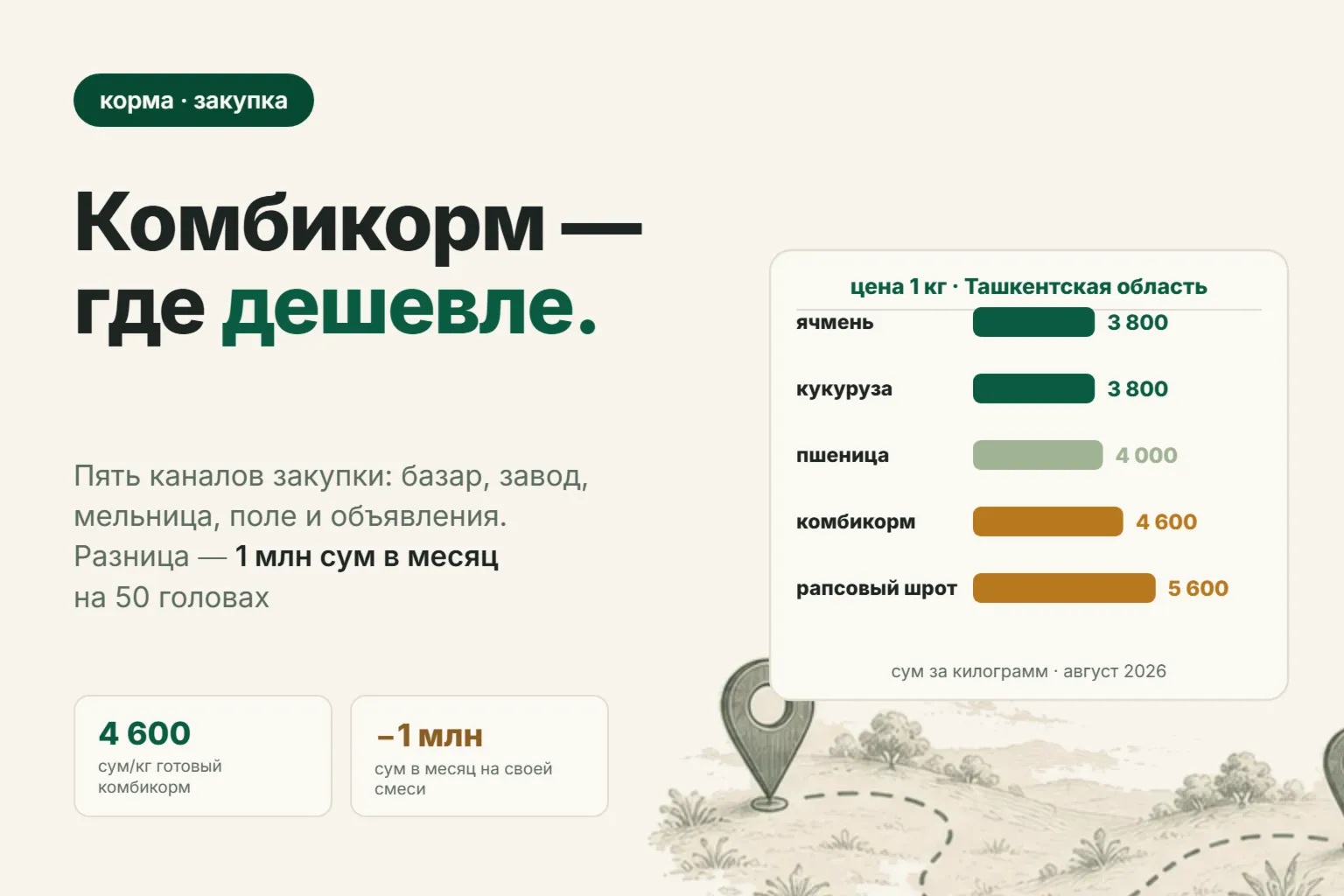 Купить комбикорм для баранов в Ташкенте: цены в августе 2026 года и где корма дешевле
