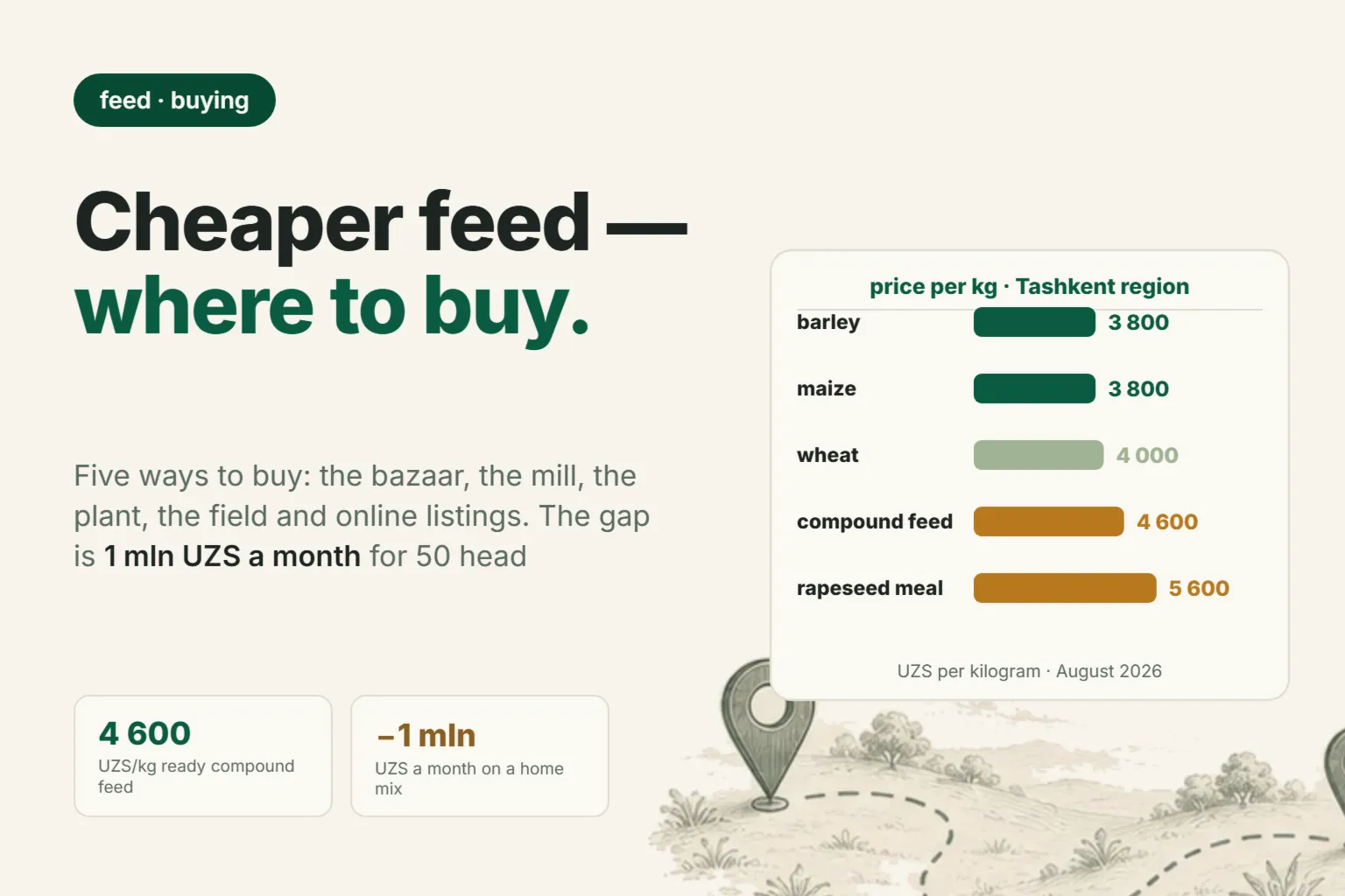 Buying Compound Feed for Sheep in Tashkent: August 2026 Prices and Where Feed Is Cheaper