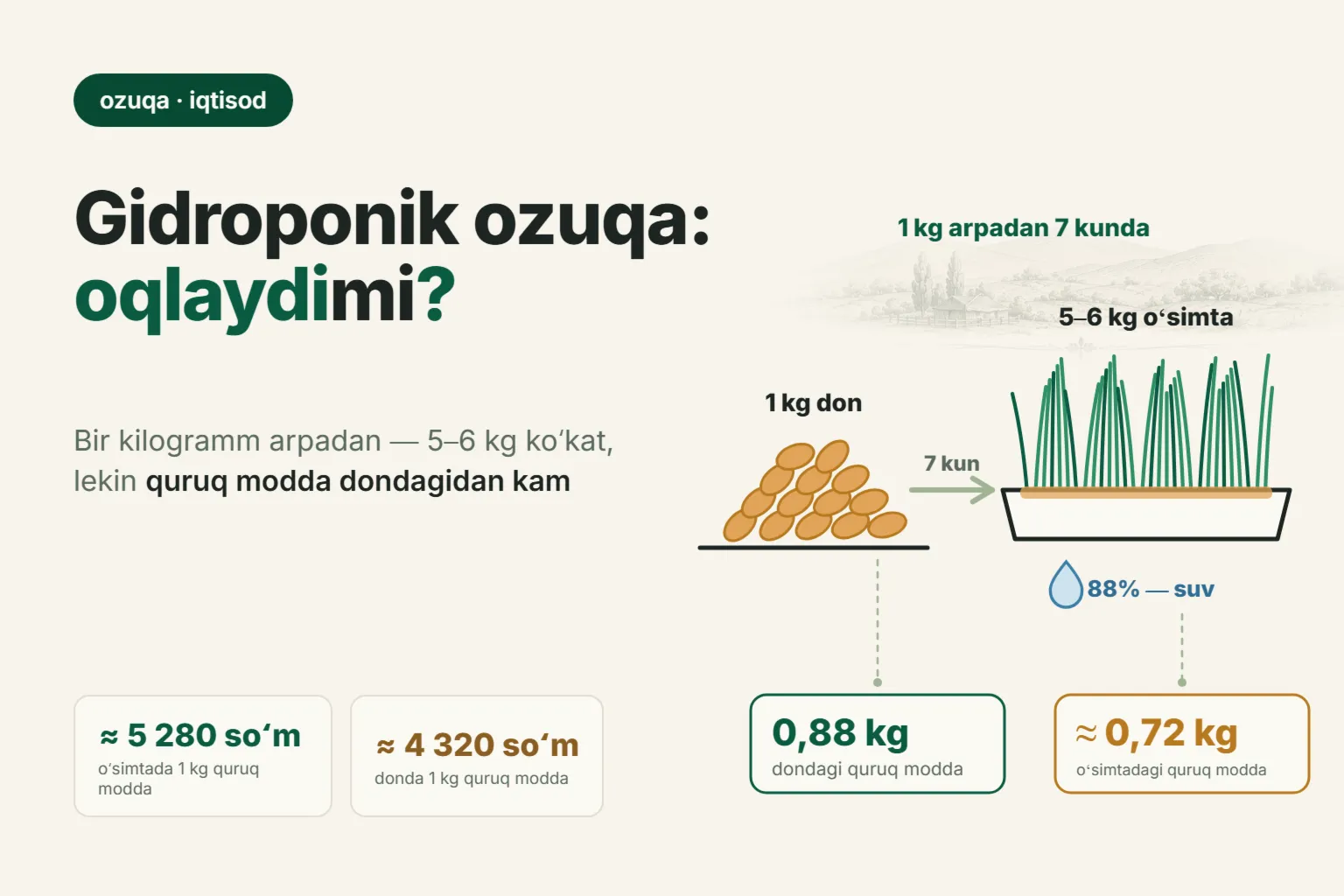 Qoʻylar uchun gidroponik ozuqa: 2026-yilda undirilgan arpa oʻzini oqlaydimi — quruq modda boʻyicha hisob-kitob