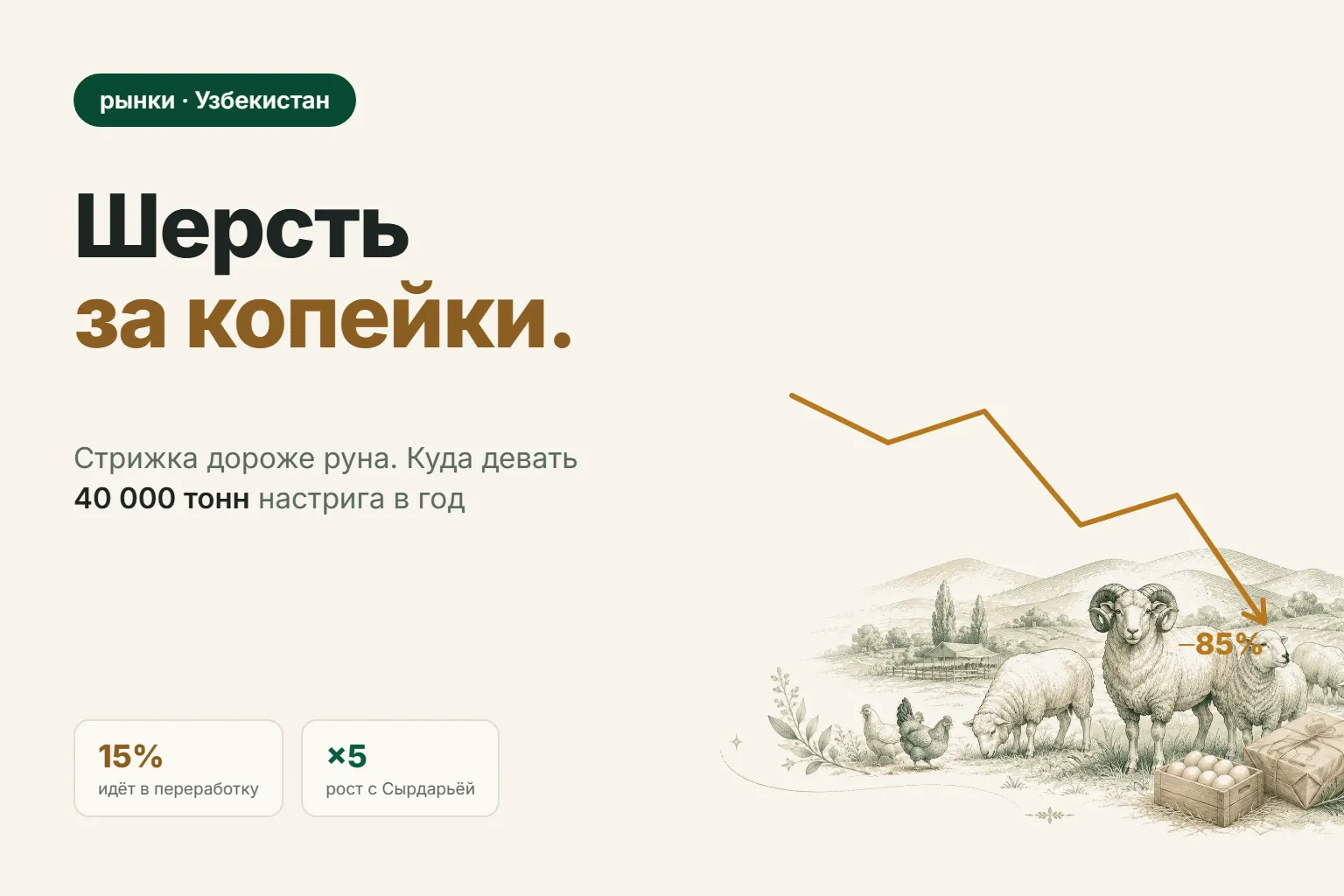 Шерсть за копейки: почему руно больше не кормит овцевода — и что с ним делать