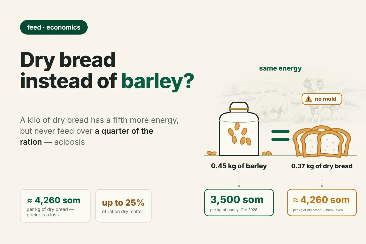 Can You Feed Sheep Bread and Dried Bread? How Much Per Day and the Price at Which It Beats Barley