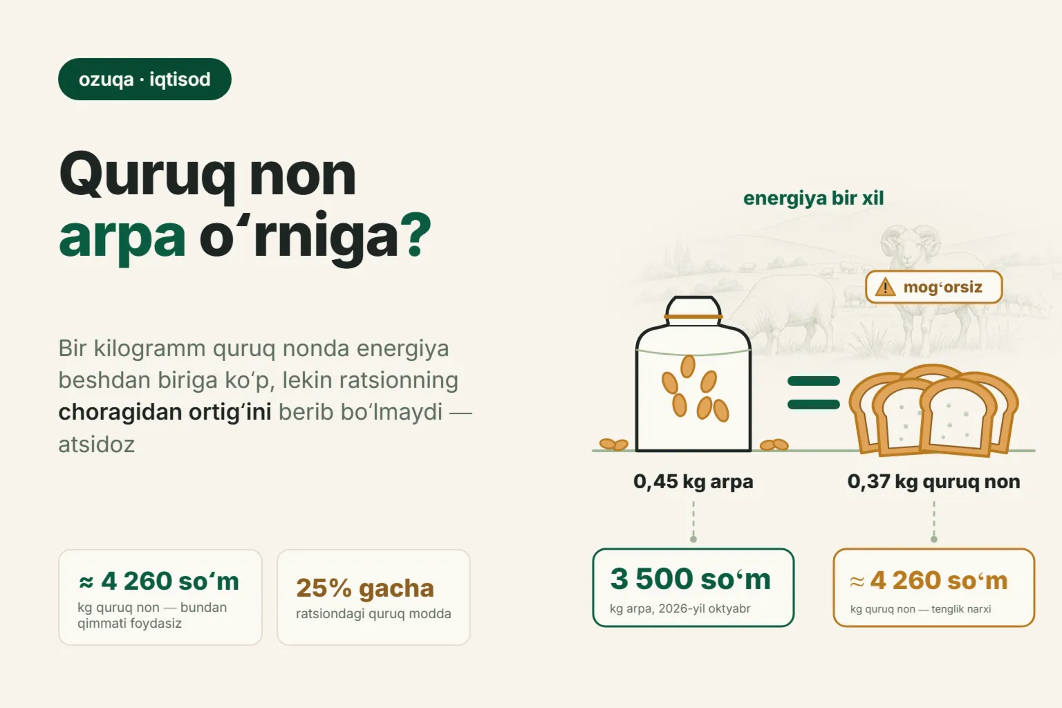 Qoʻylarga non va quruq non berish mumkinmi: sutkasiga qancha berish kerak va qaysi narxda ular arpadan arzon