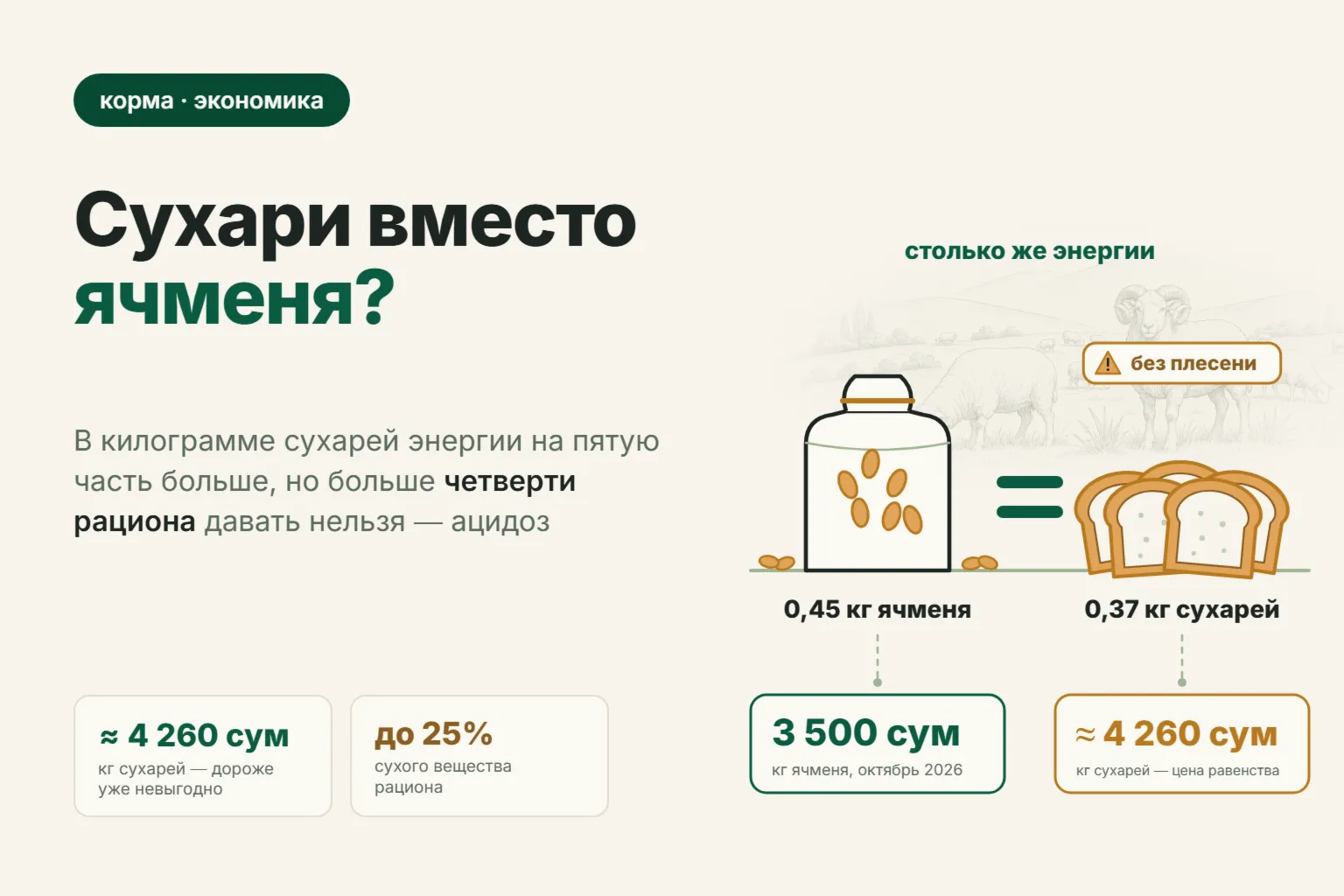 Хлеб и сухари для овец: можно ли кормить, сколько давать в сутки и при какой цене они дешевле ячменя