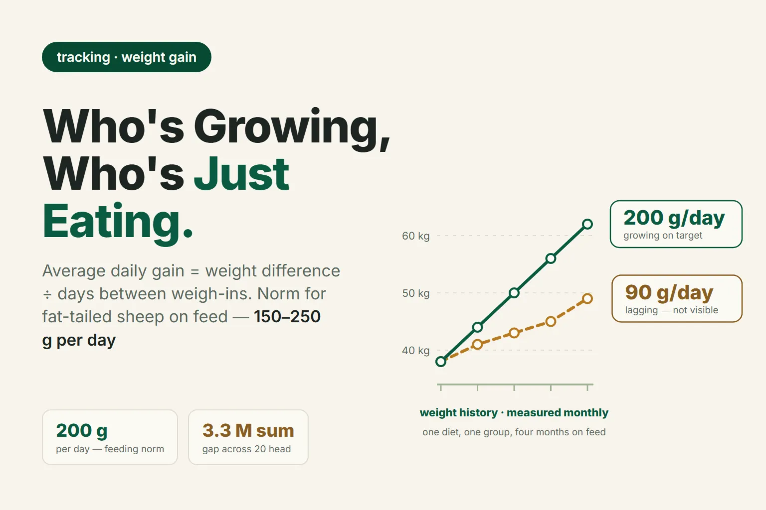 Average Daily Gain in Sheep: How to Calculate It, What's Normal, and Why You Can't See It by Eye
