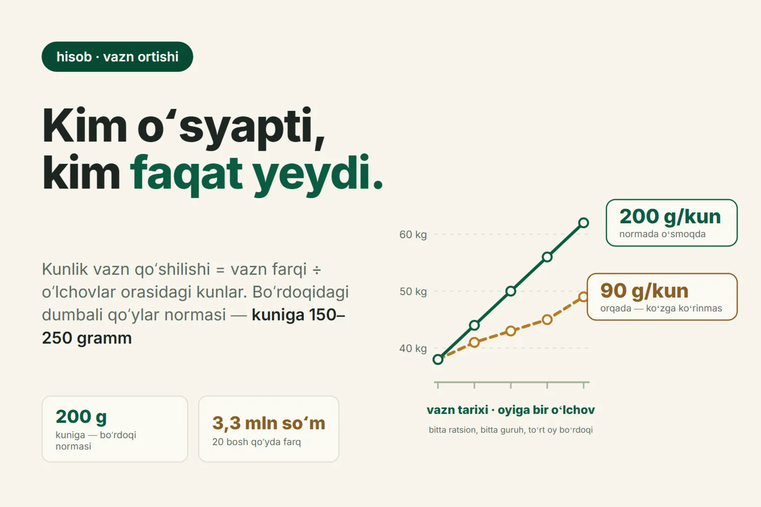 Qoʻchqorning kunlik vazn qoʻshilishi: qanday hisoblanadi, normasi qancha va nega koʻz bilan bilinmaydi