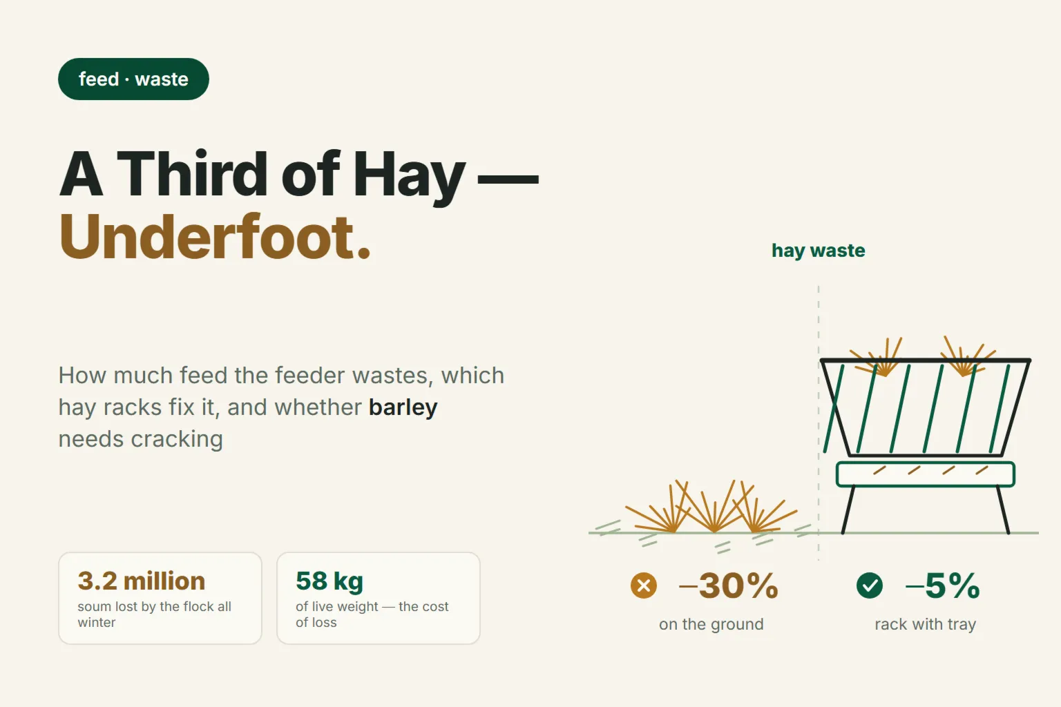 A Third of Your Hay Lost Underfoot: Feeder Waste and Whether to Crack Barley