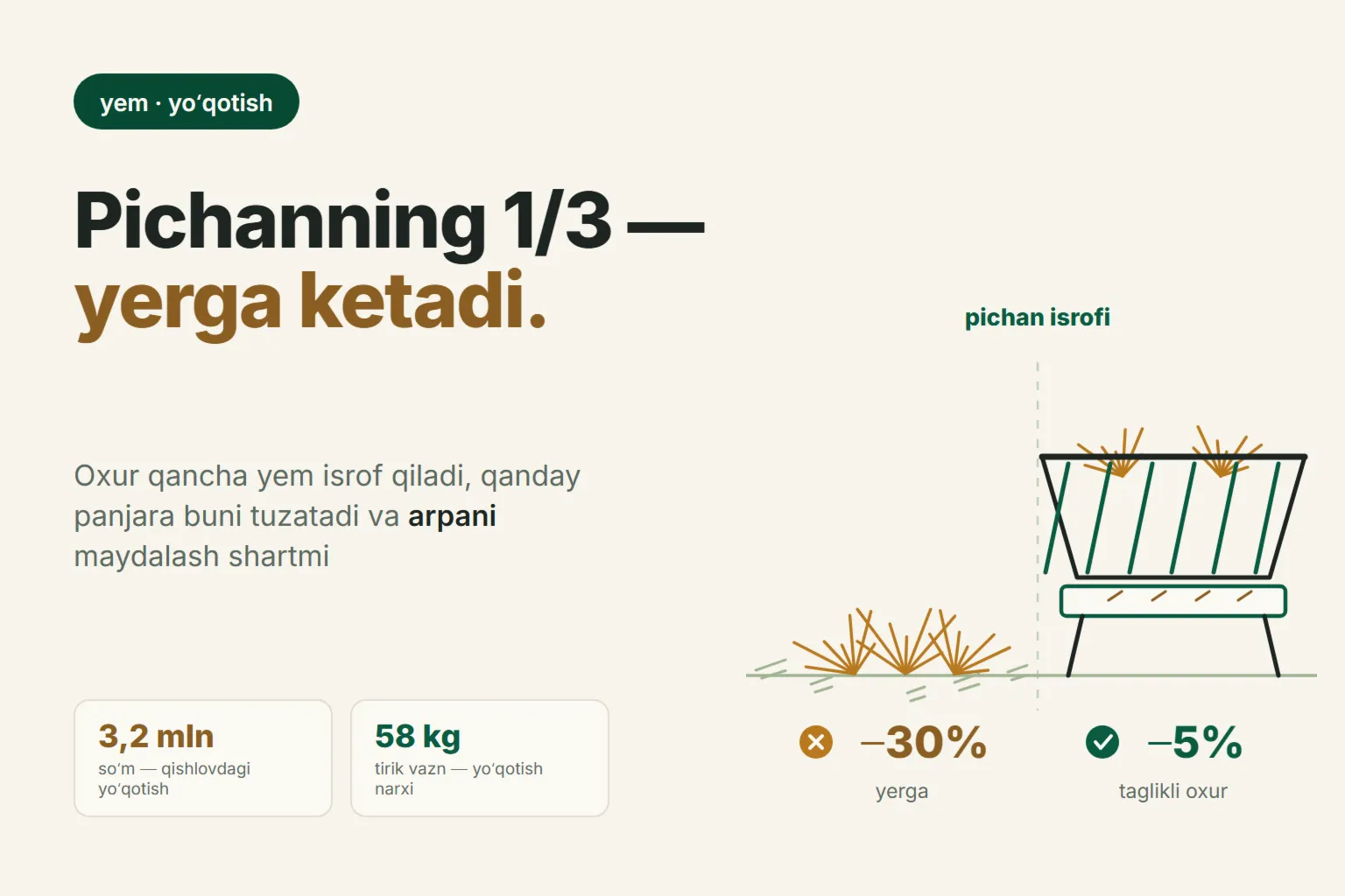Pichanning uchdan biri — oyoq ostiga: oxurdagi yoʻqotishlar va arpani maydalash kerakmi