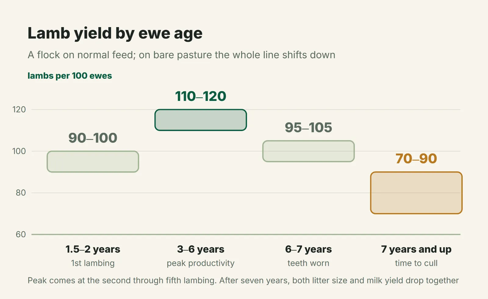 Lambs per 100 ewes by ewe's age