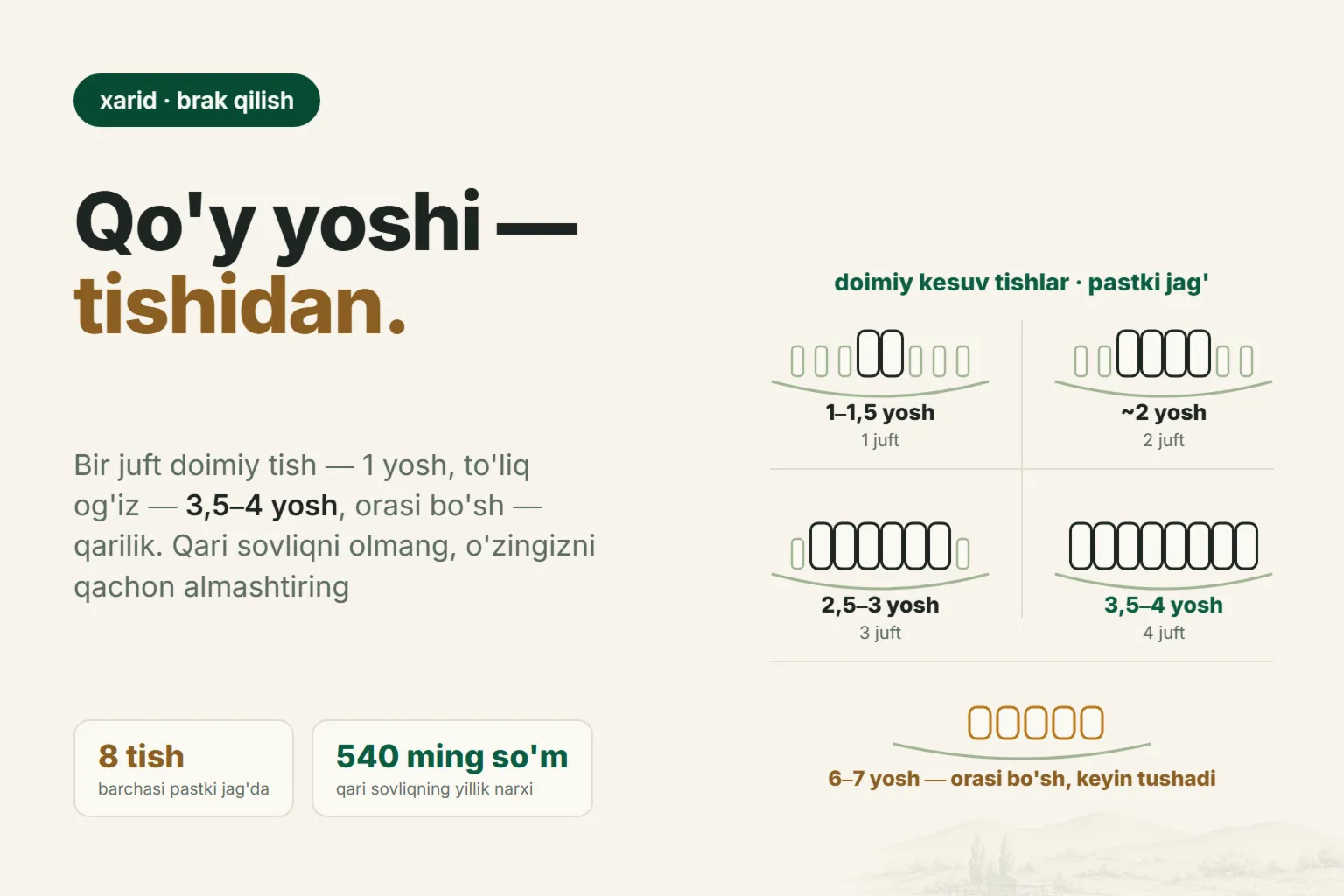 Qo'y yoshi tishlariga qarab qanday aniqlanadi: to'liq jadval va sovliqni almashtirish muddati