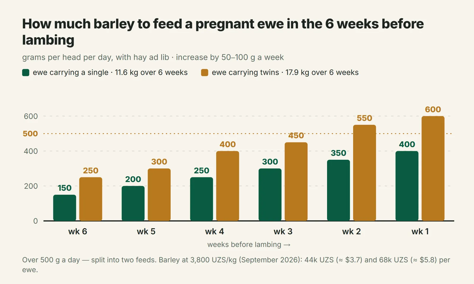 How much barley to feed a pregnant ewe by week before lambing