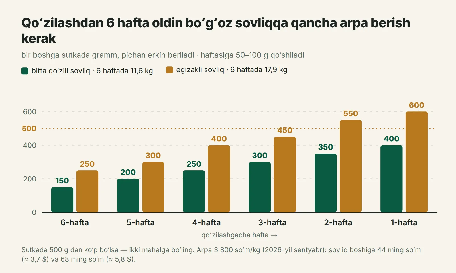 Boʻgʻoz sovliqqa qoʻzilashgacha haftalar boʻyicha qancha arpa berish kerak