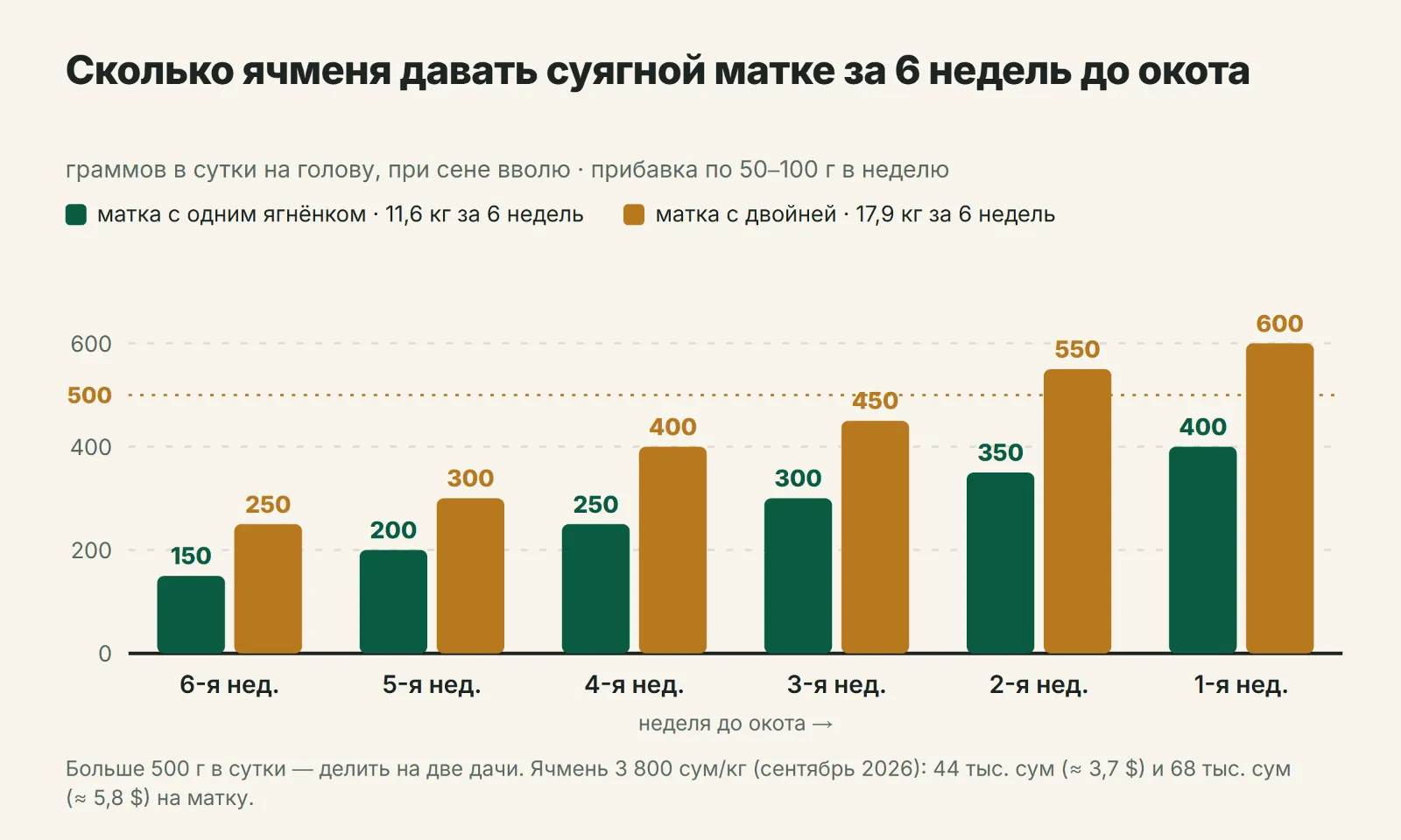 Сколько ячменя давать суягной матке по неделям до окота
