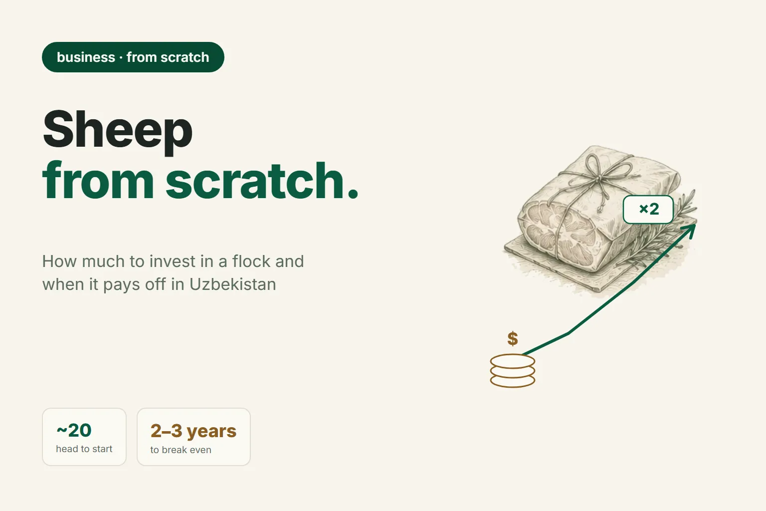 Sheep Farming as a Business: How Much to Invest and When It Pays Off